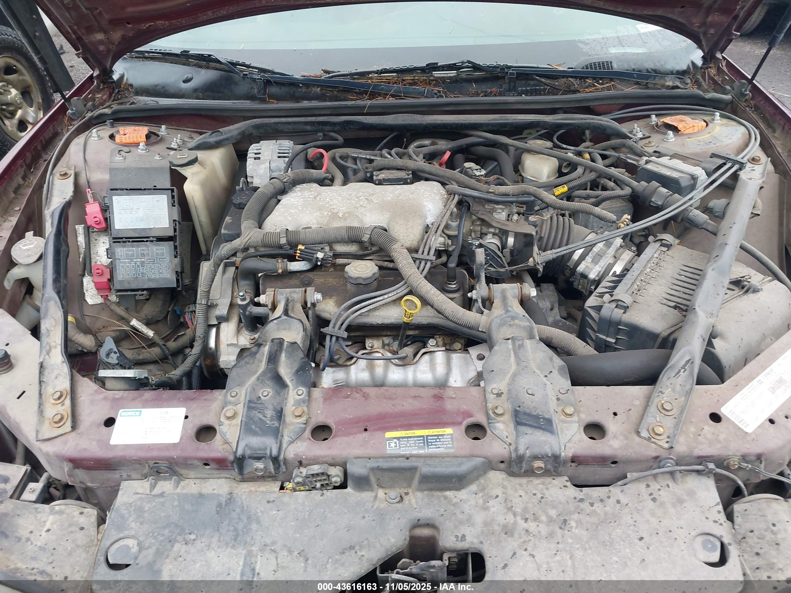 CHEVROLET MONTE image 10