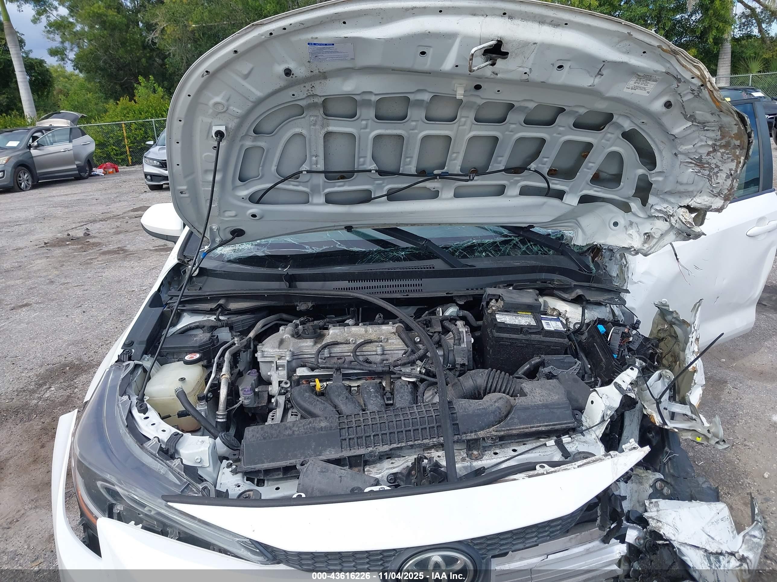 TOYOTA COROLLA image 10