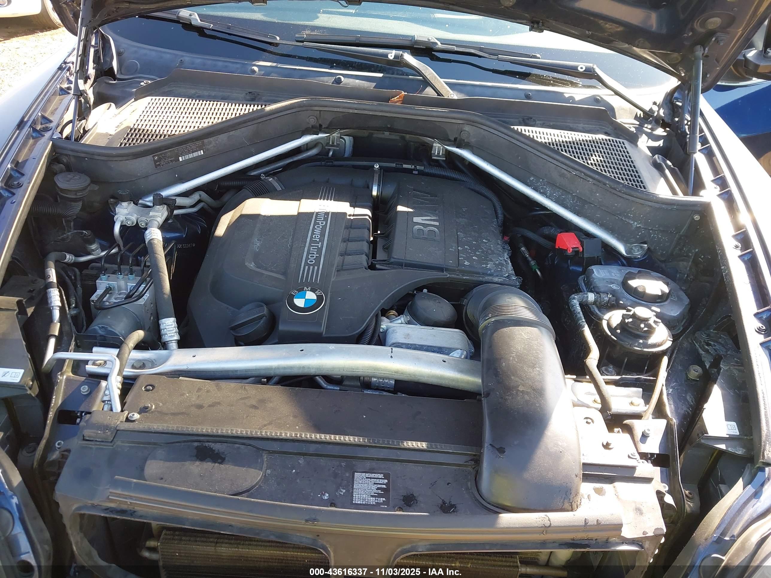BMW X5 image 10