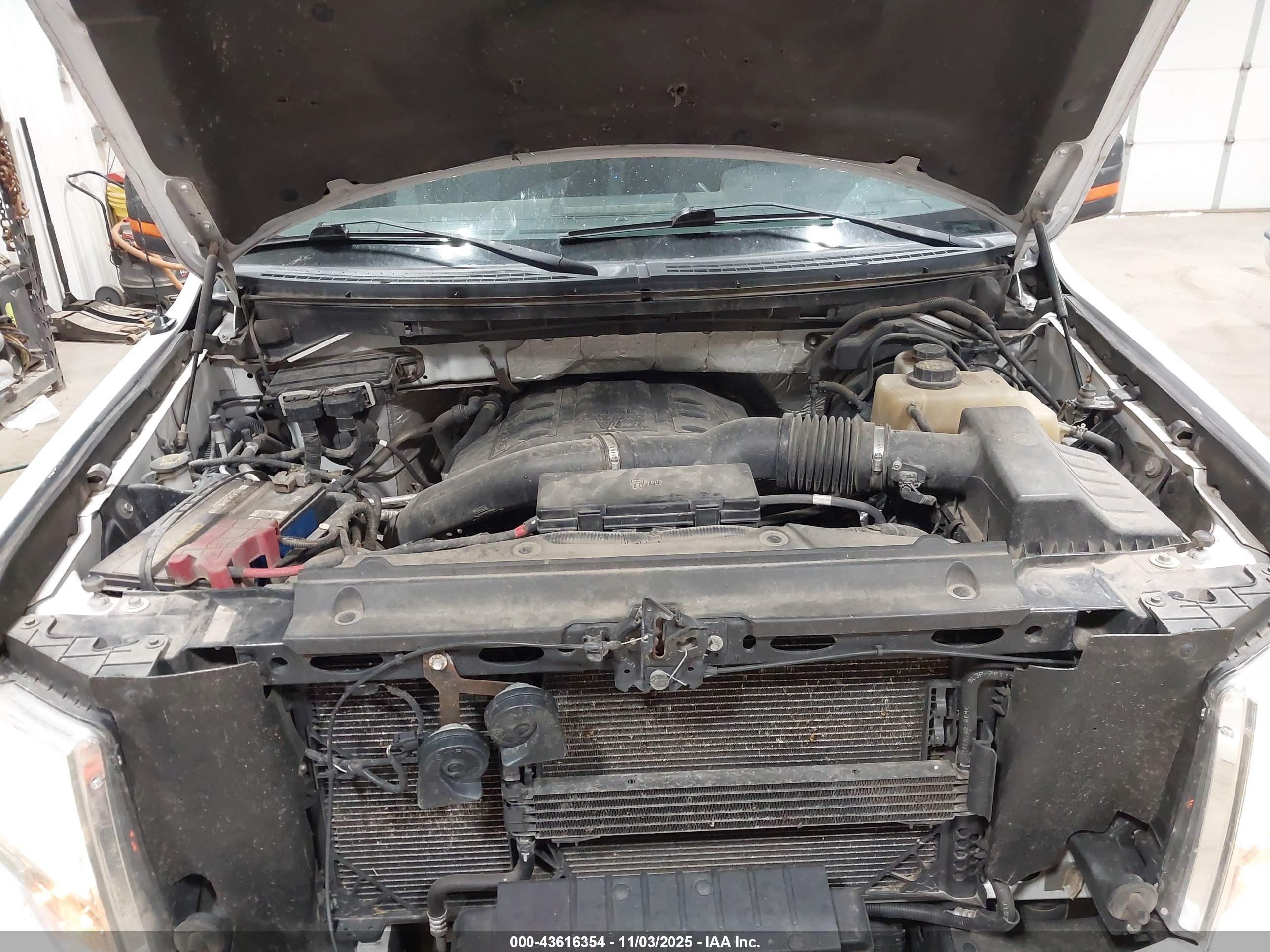 FORD F150 image 10