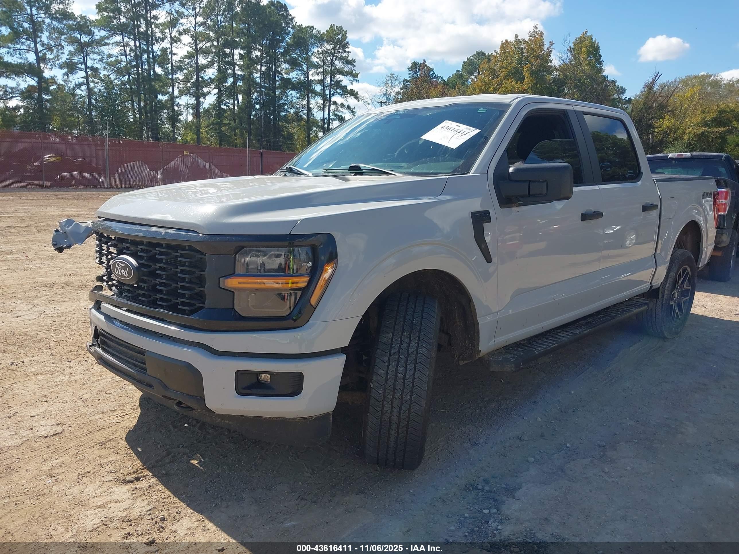 FORD F150 image 2
