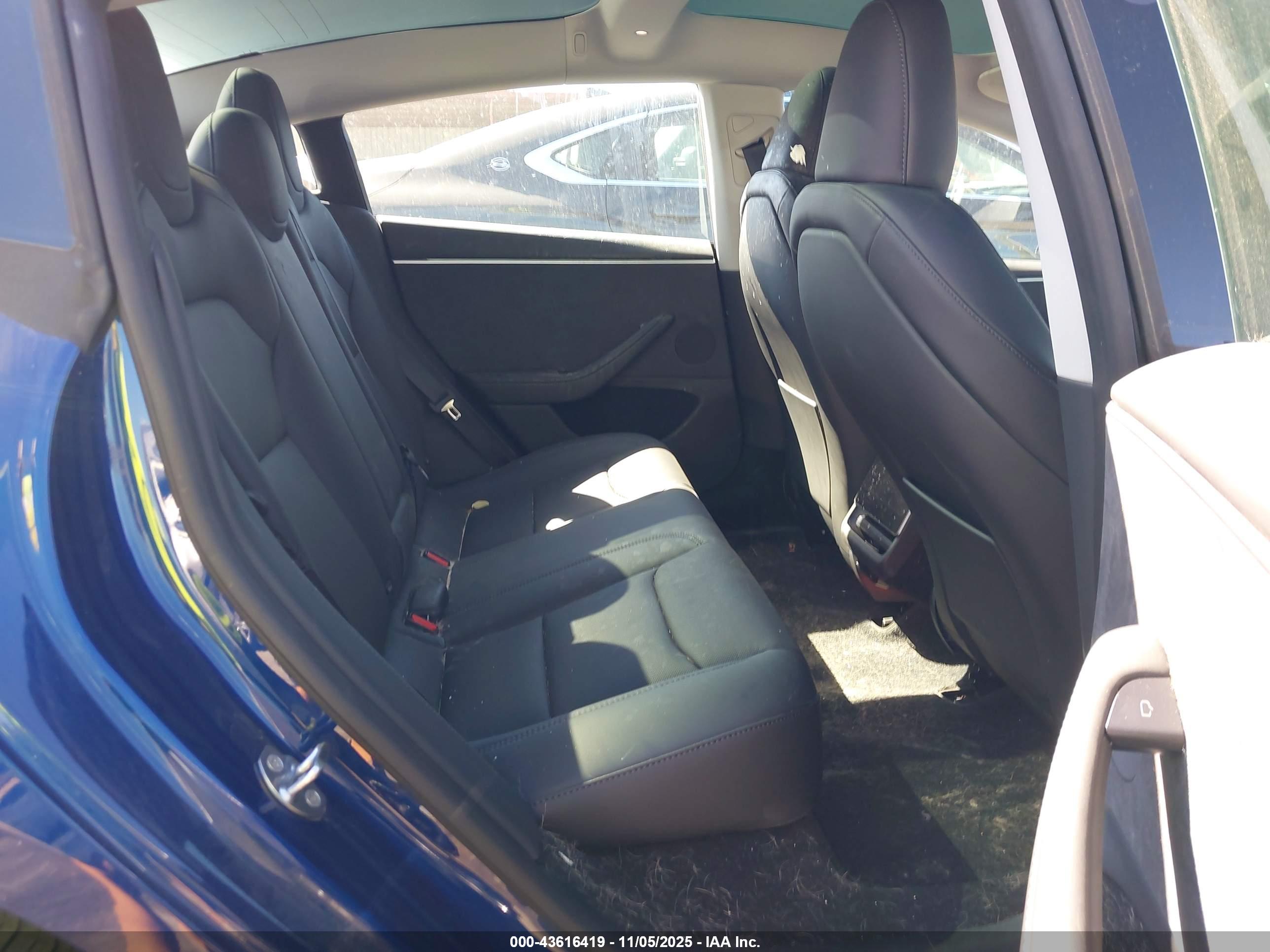 TESLA MODEL image 8