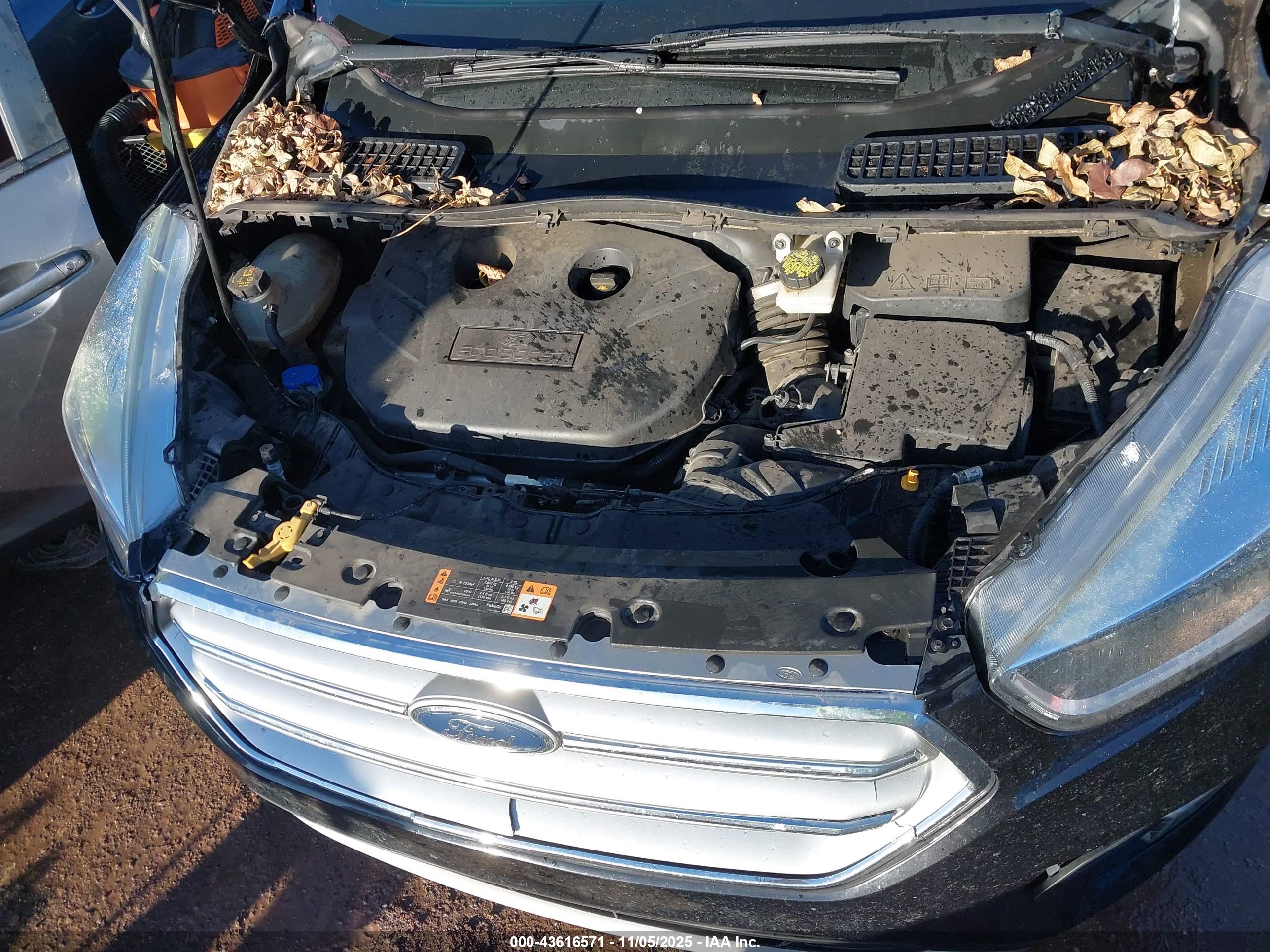 FORD ESCAPE image 10