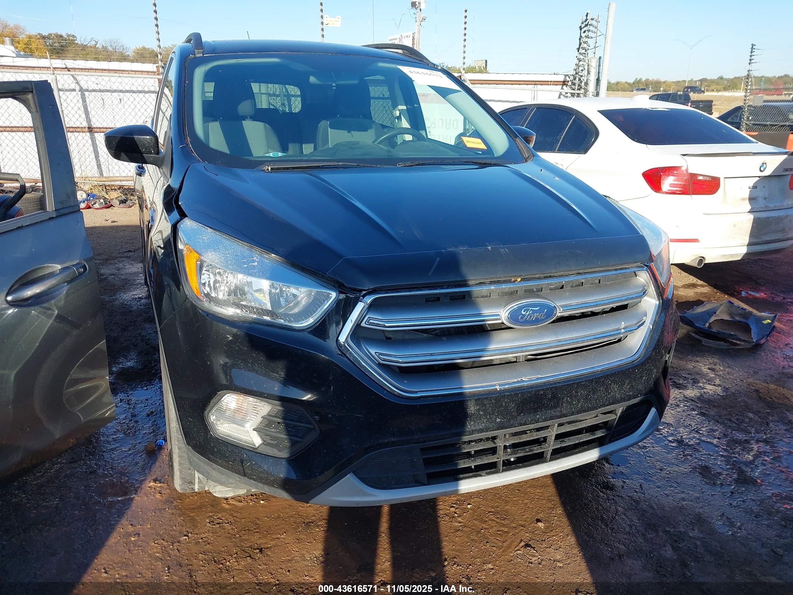 FORD ESCAPE image 6