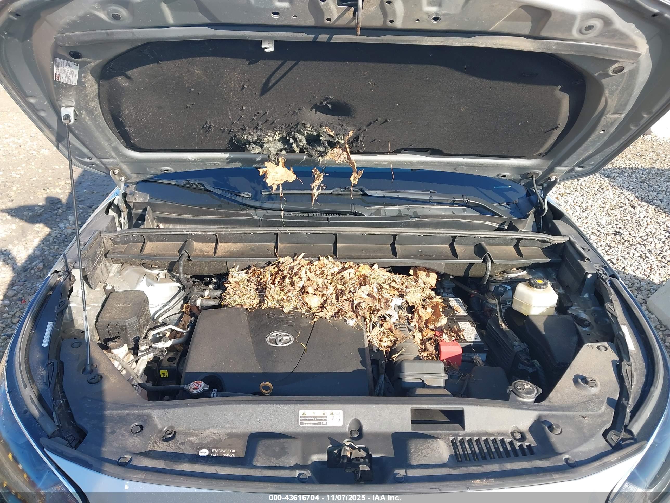 TOYOTA HIGHLANDER image 10