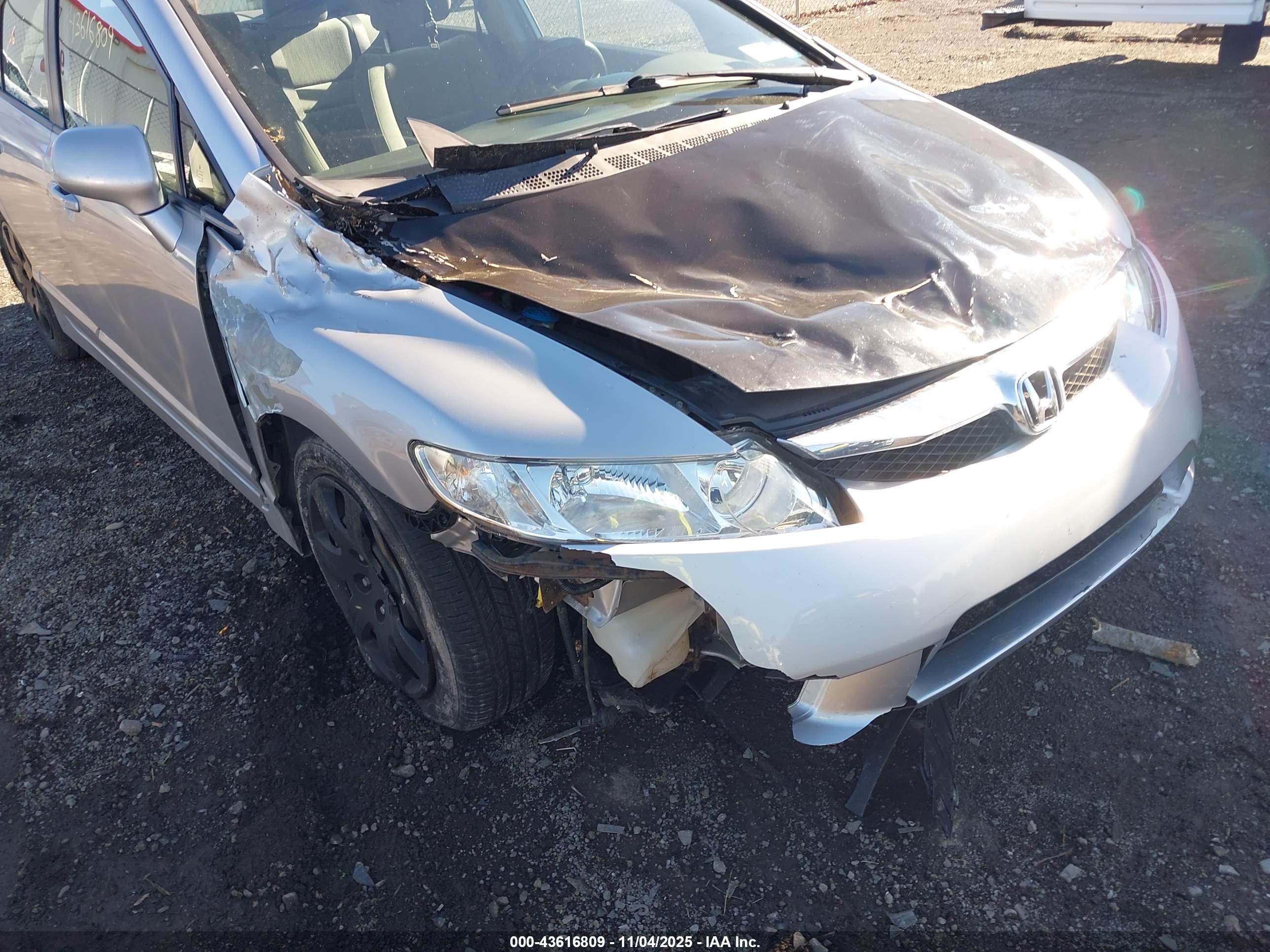 HONDA CIVIC image 6