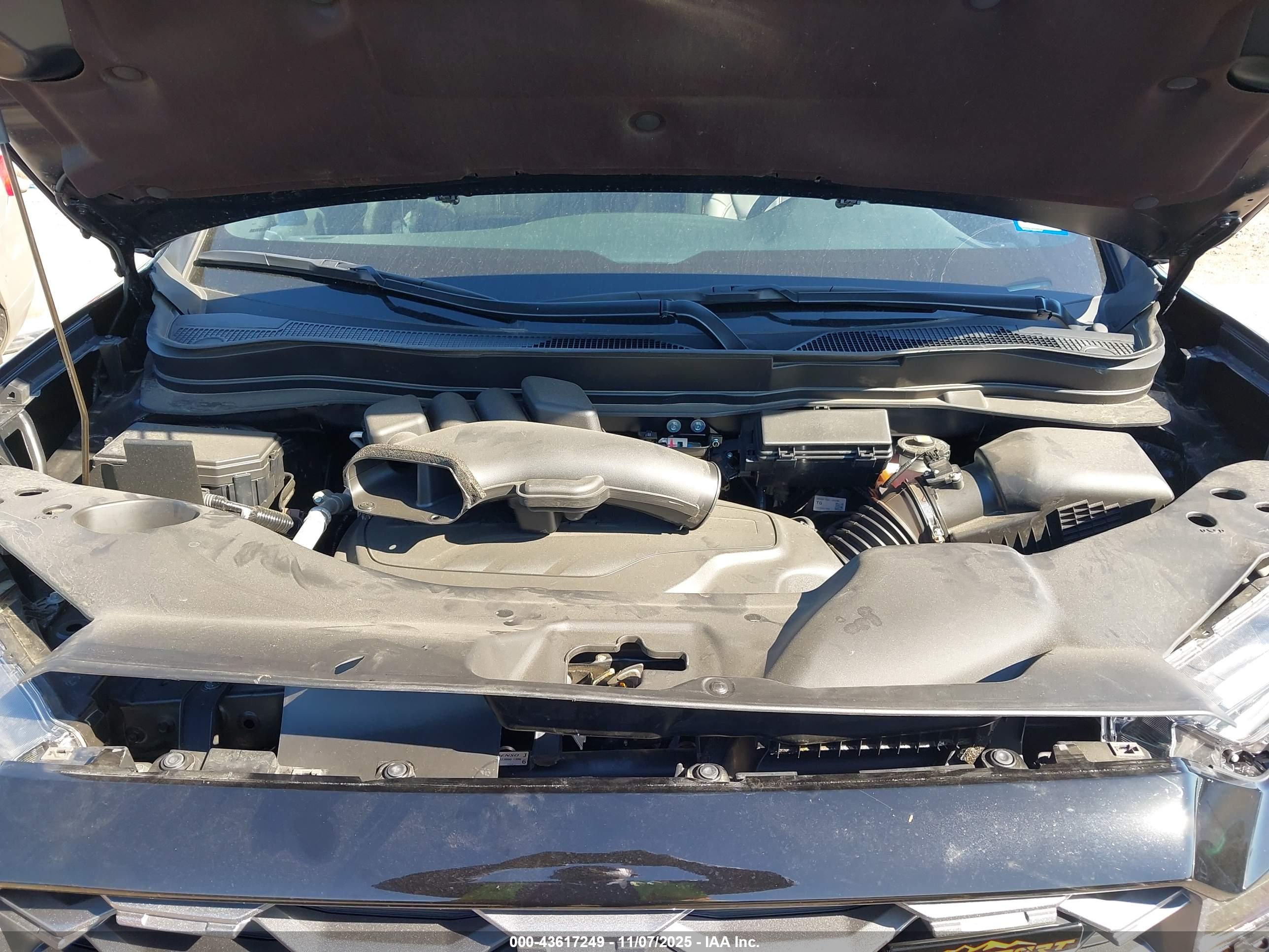 HONDA PASSPORT image 10