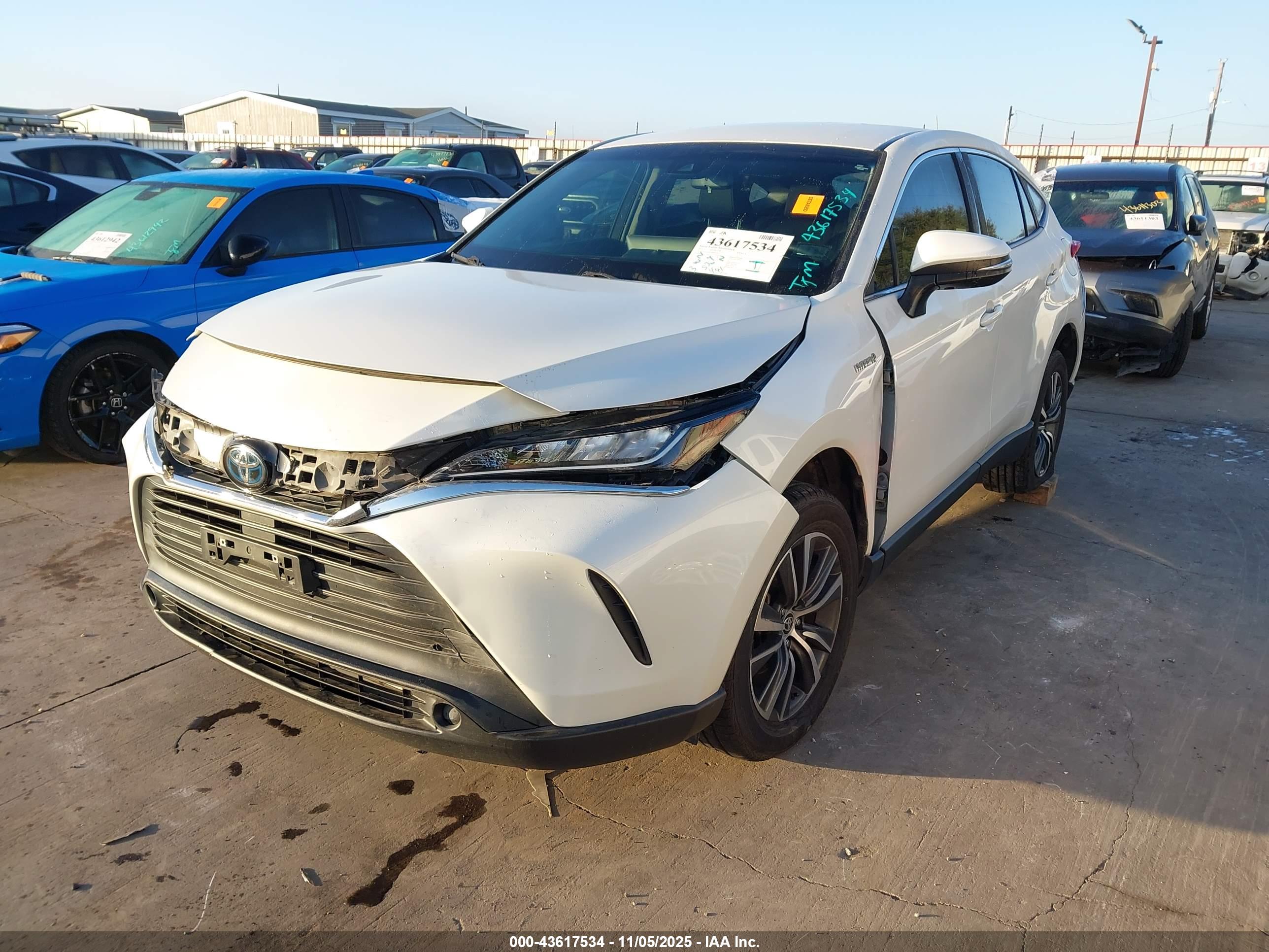 TOYOTA VENZA image 2