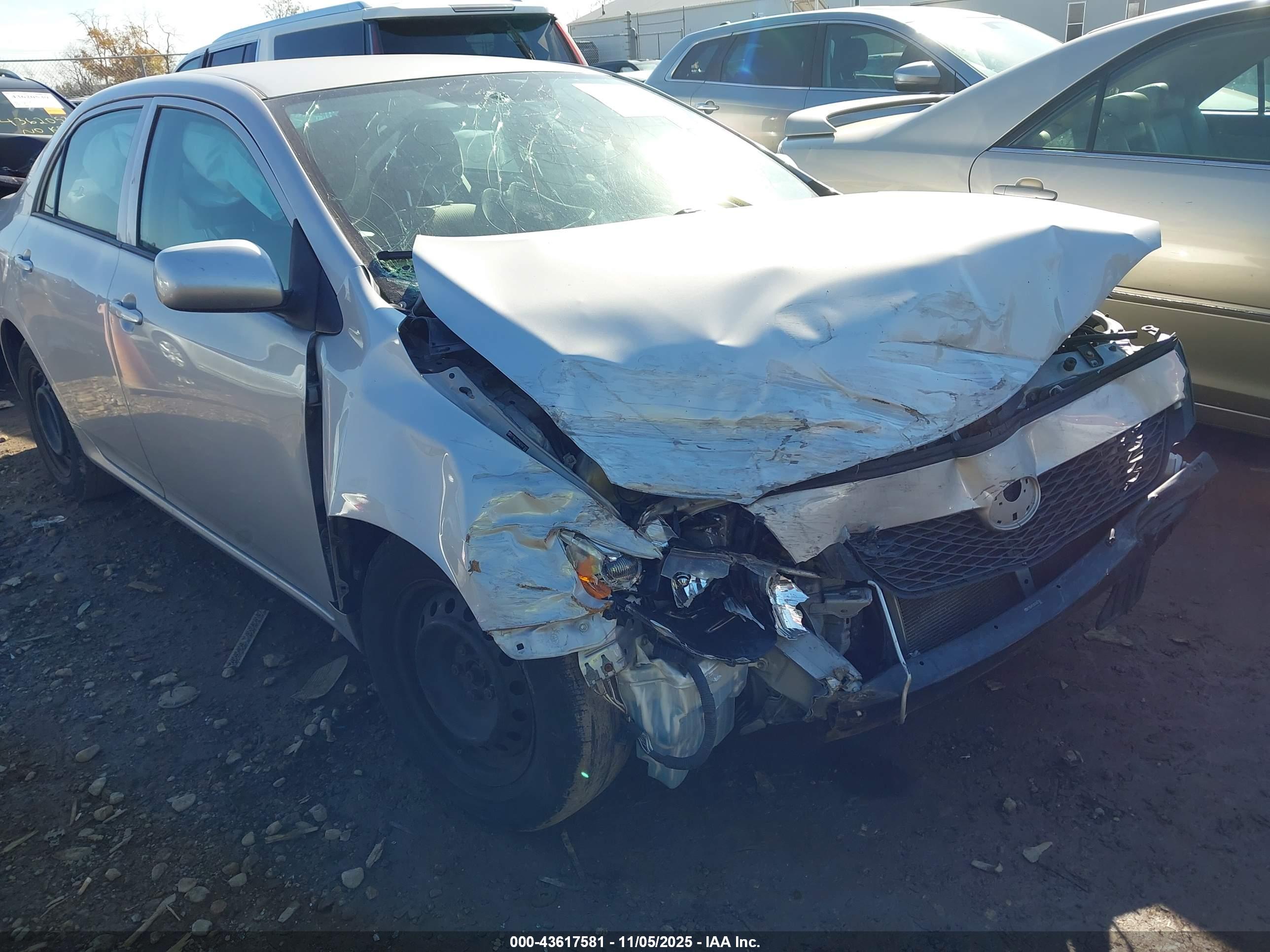 TOYOTA COROLLA image 6