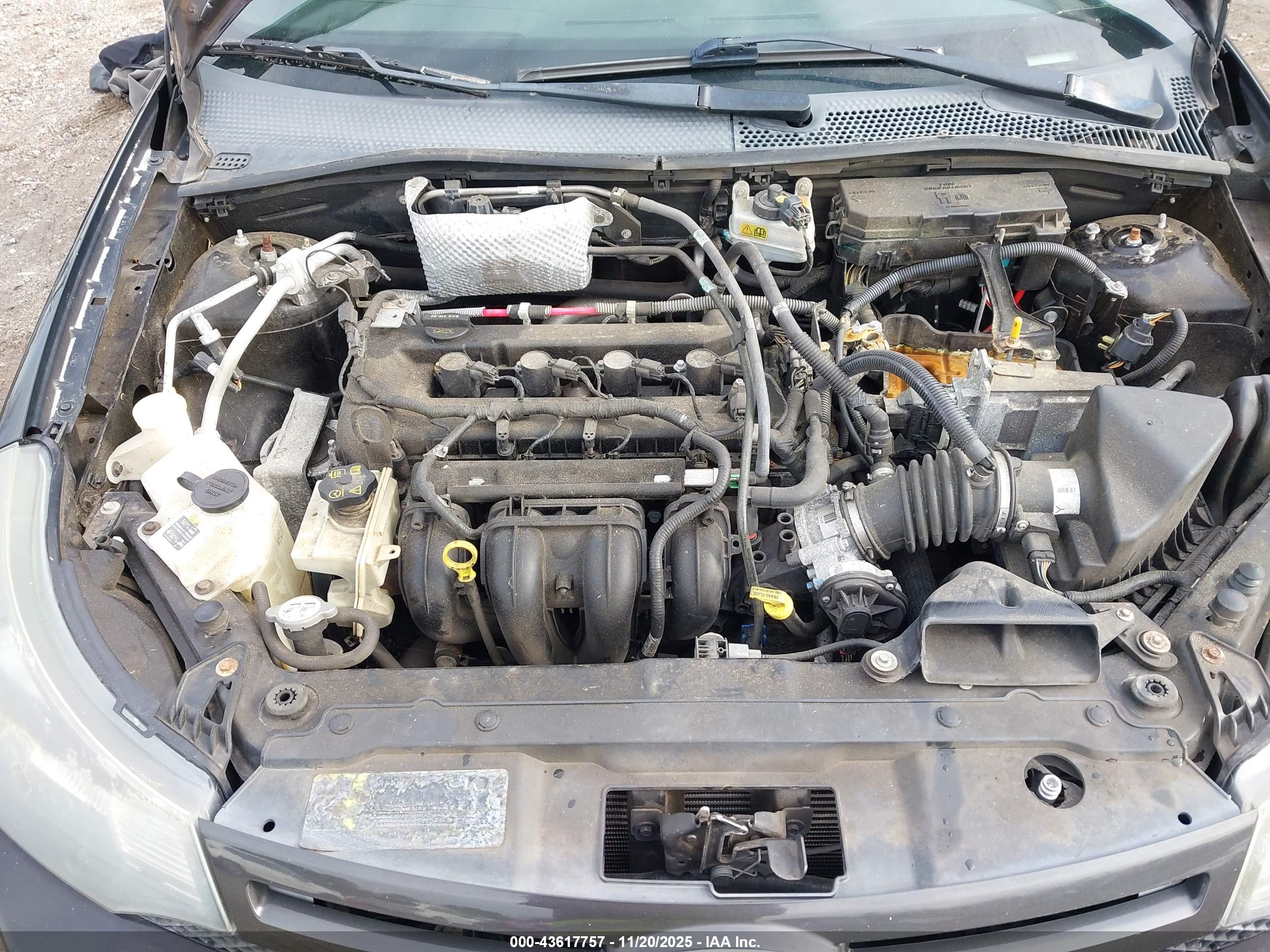 FORD FOCUS image 10