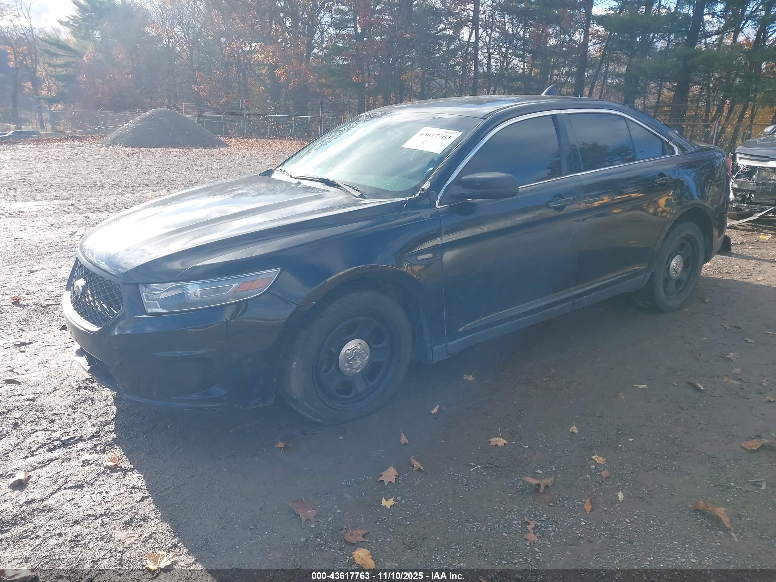 FORD POLICE image 2