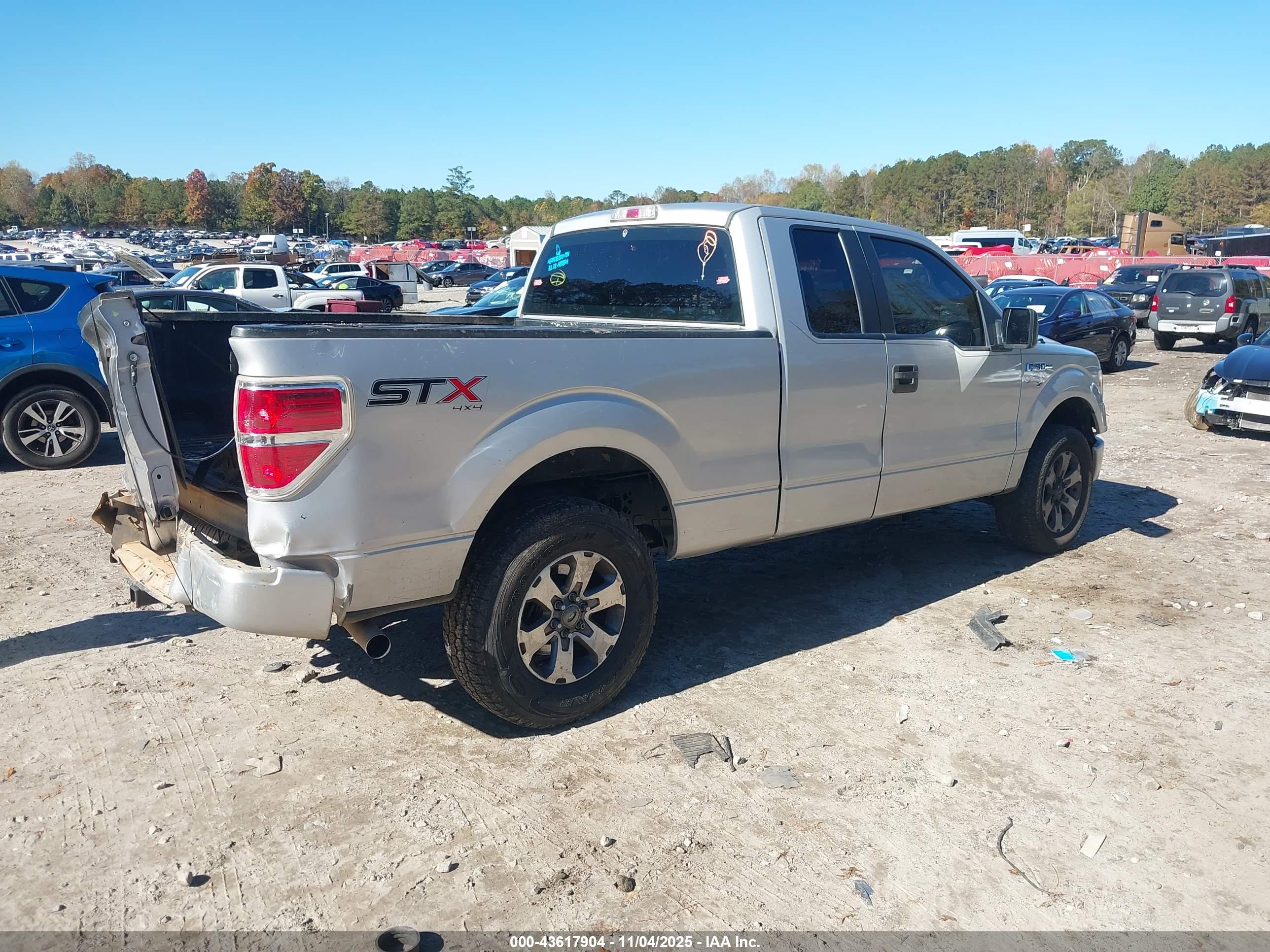 FORD F-150 image 4