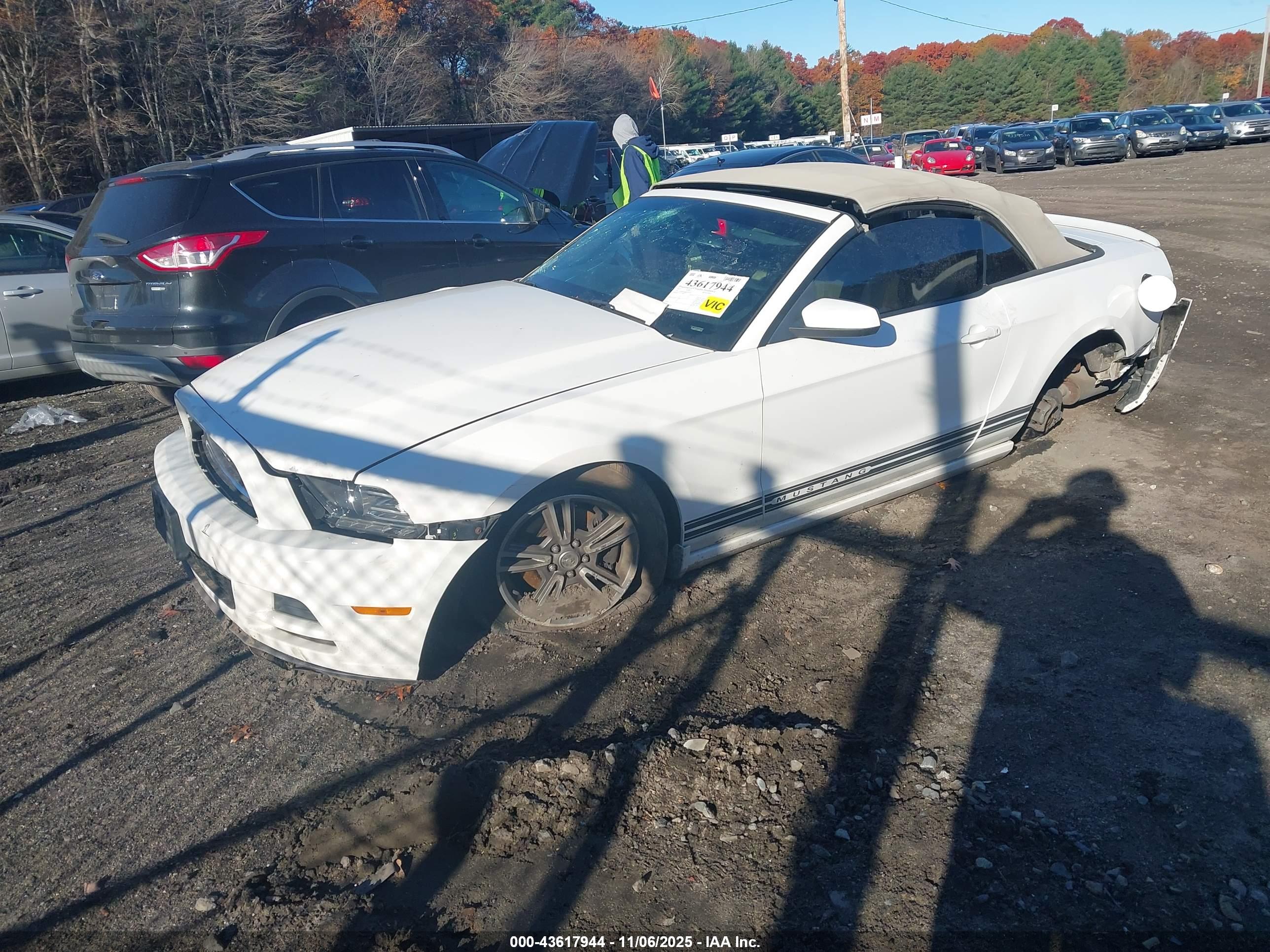 FORD MUSTANG image 2
