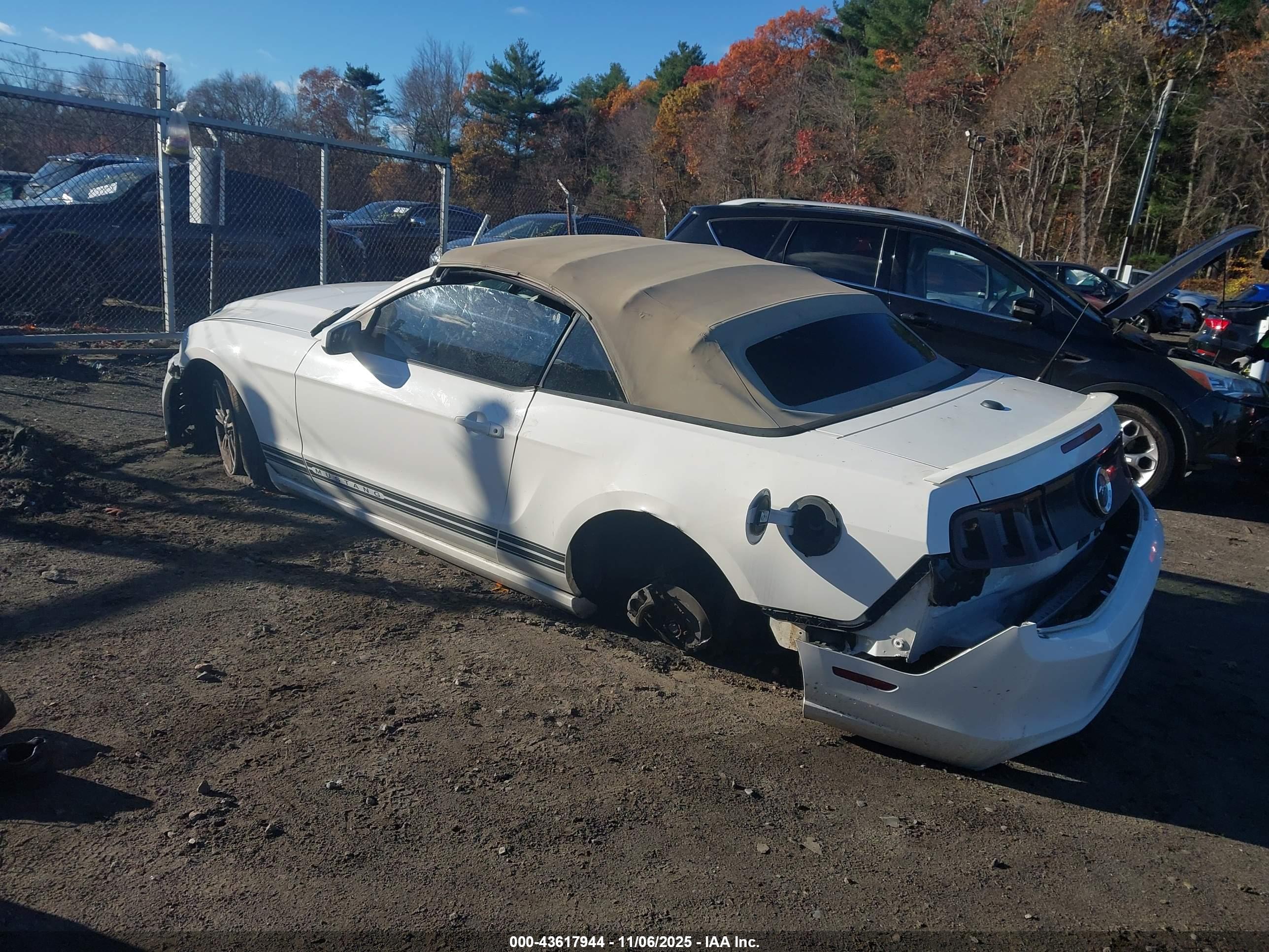 FORD MUSTANG image 3
