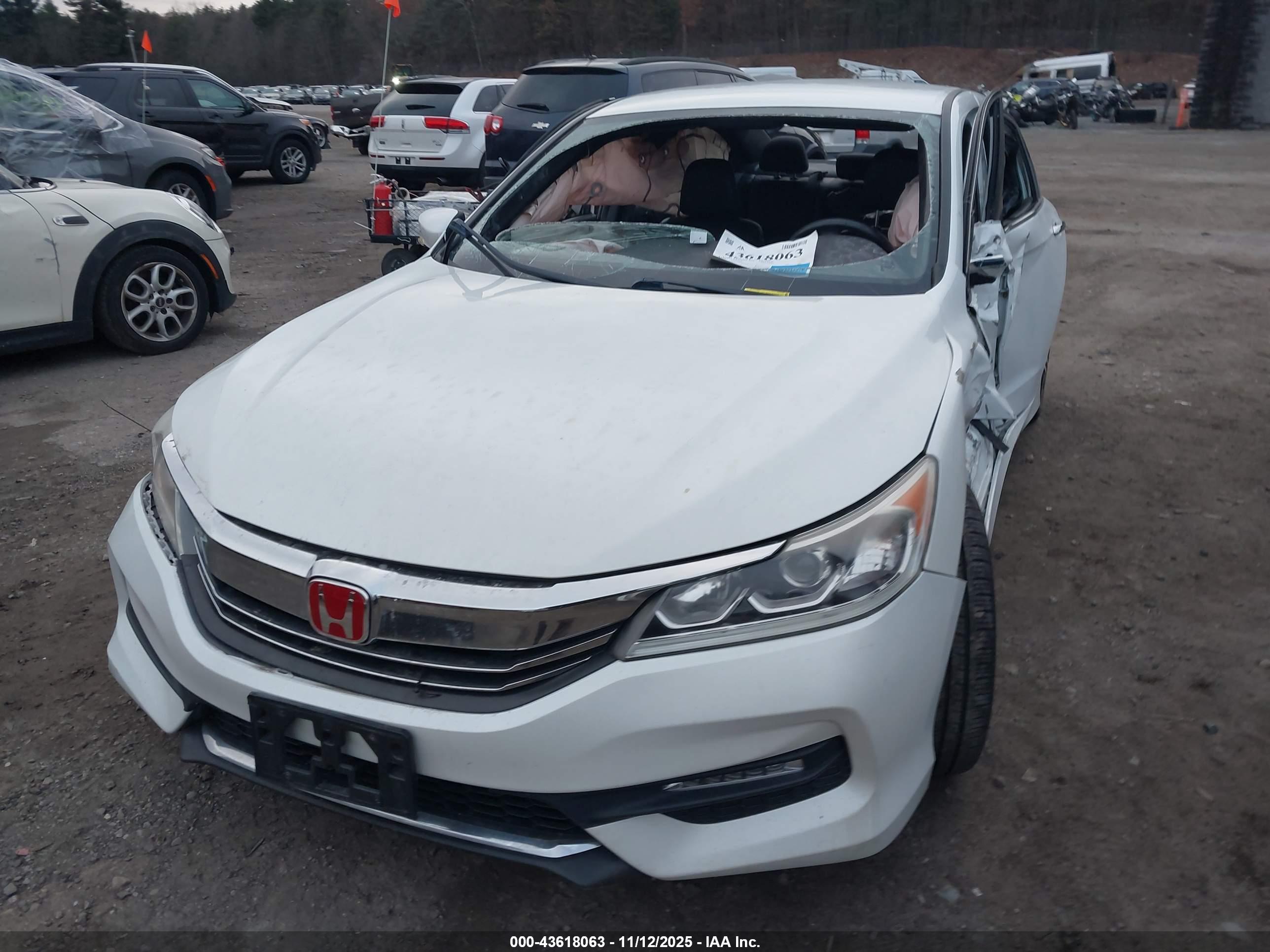 HONDA ACCORD image 10