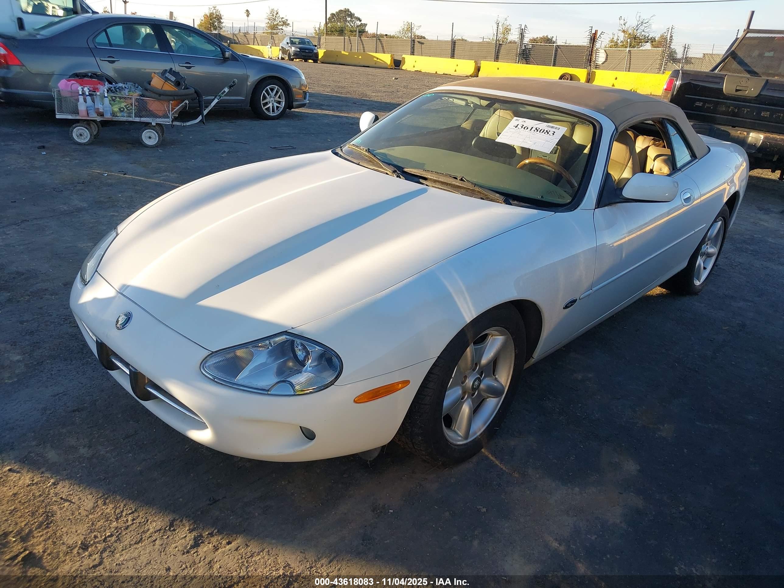 JAGUAR XK8 image 2