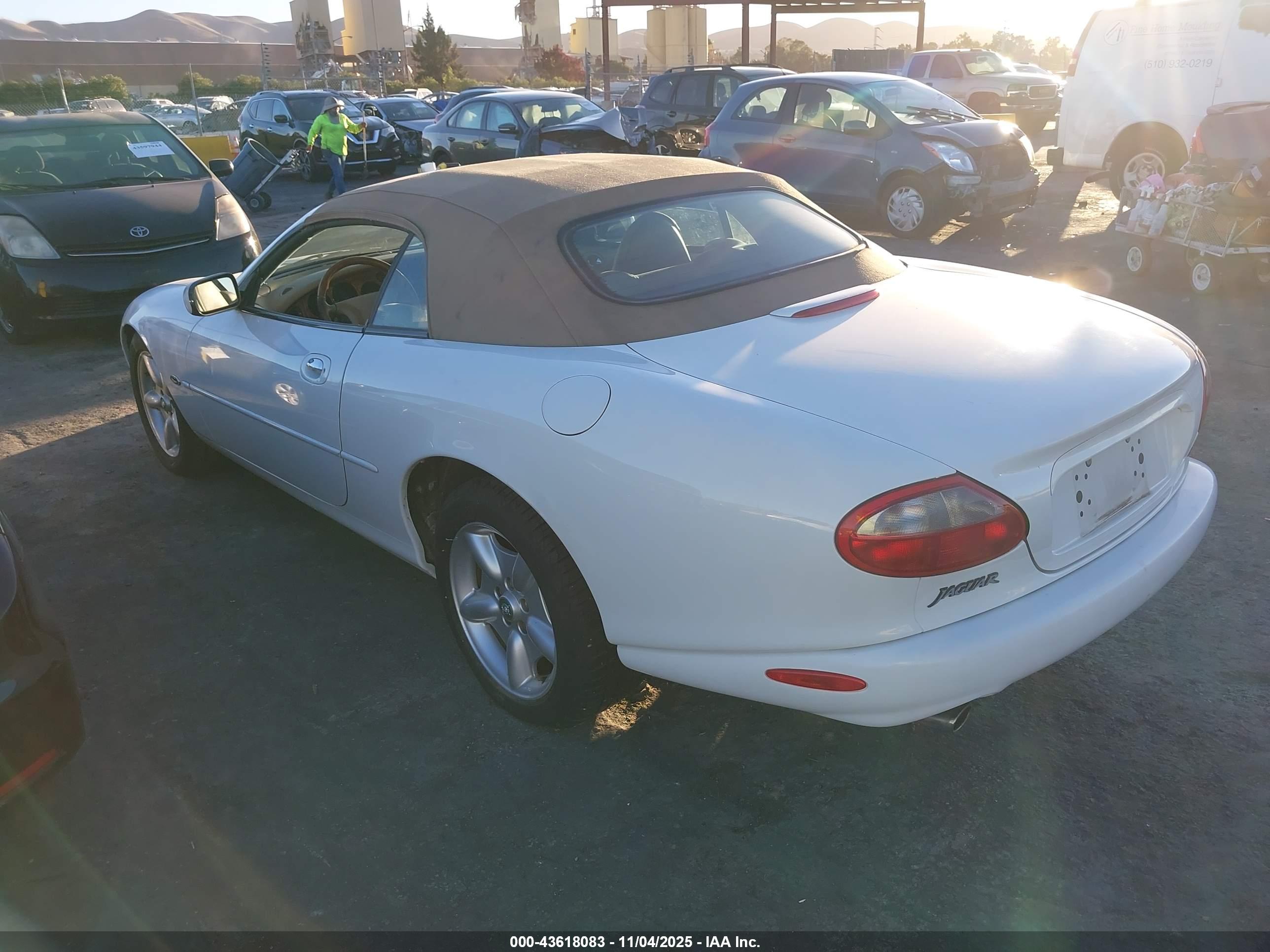 JAGUAR XK8 image 3