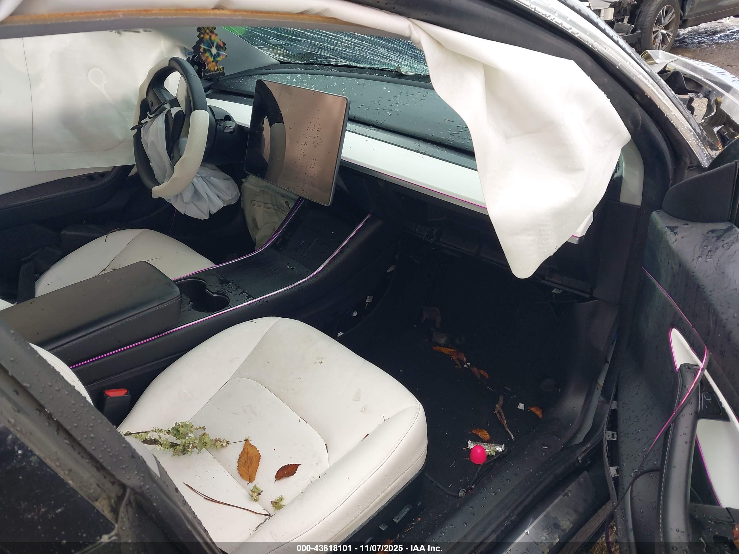 TESLA MODEL image 5