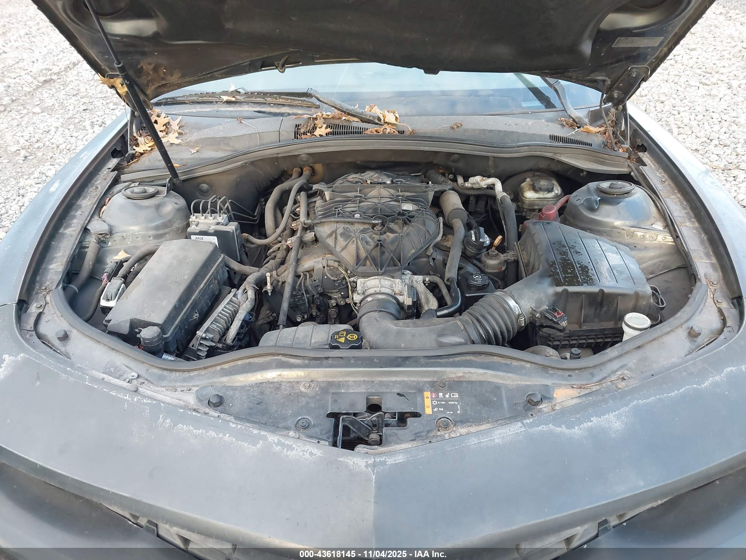 CHEVROLET CAMARO image 10