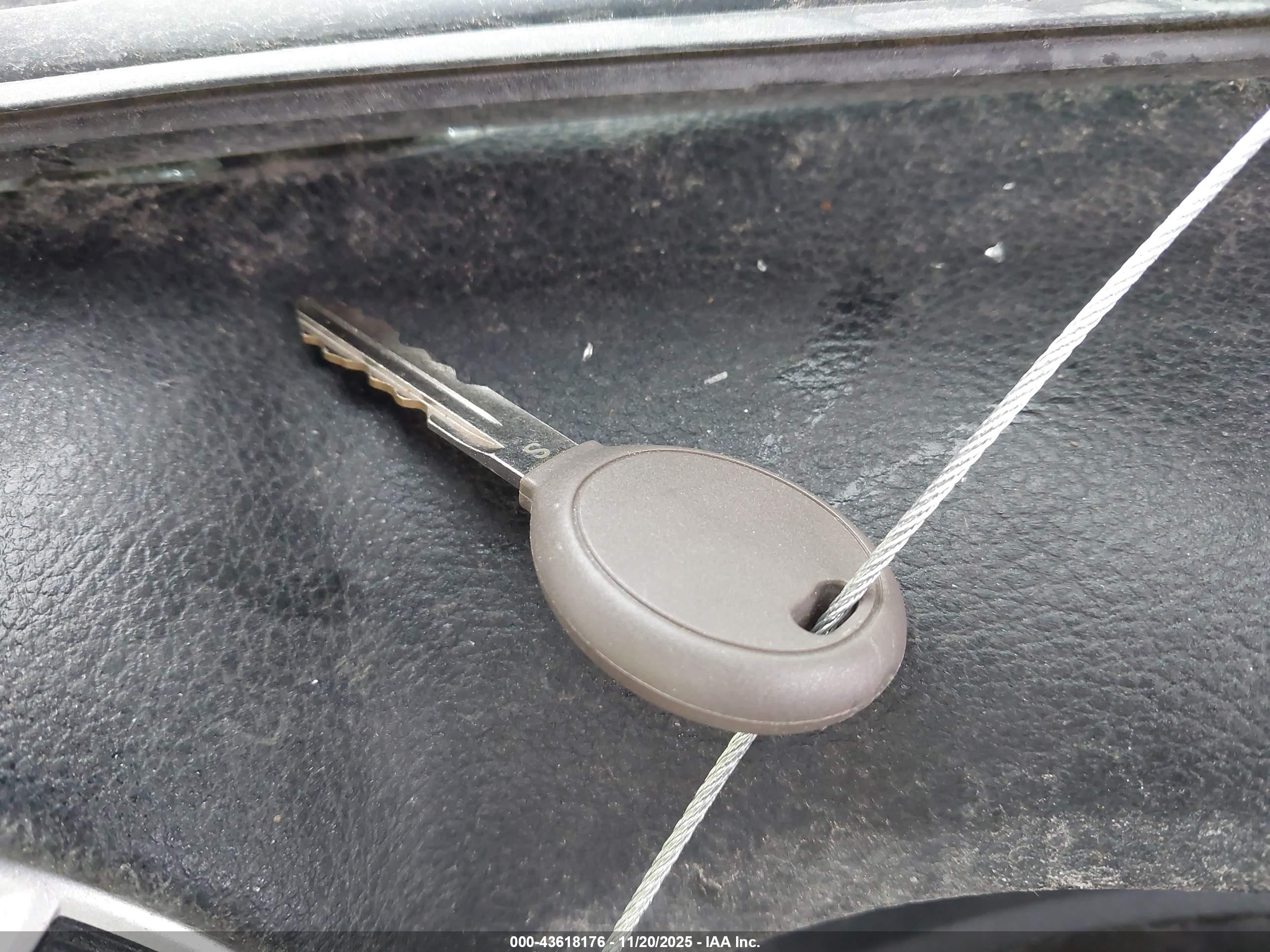 JEEP WRANGLER image 11