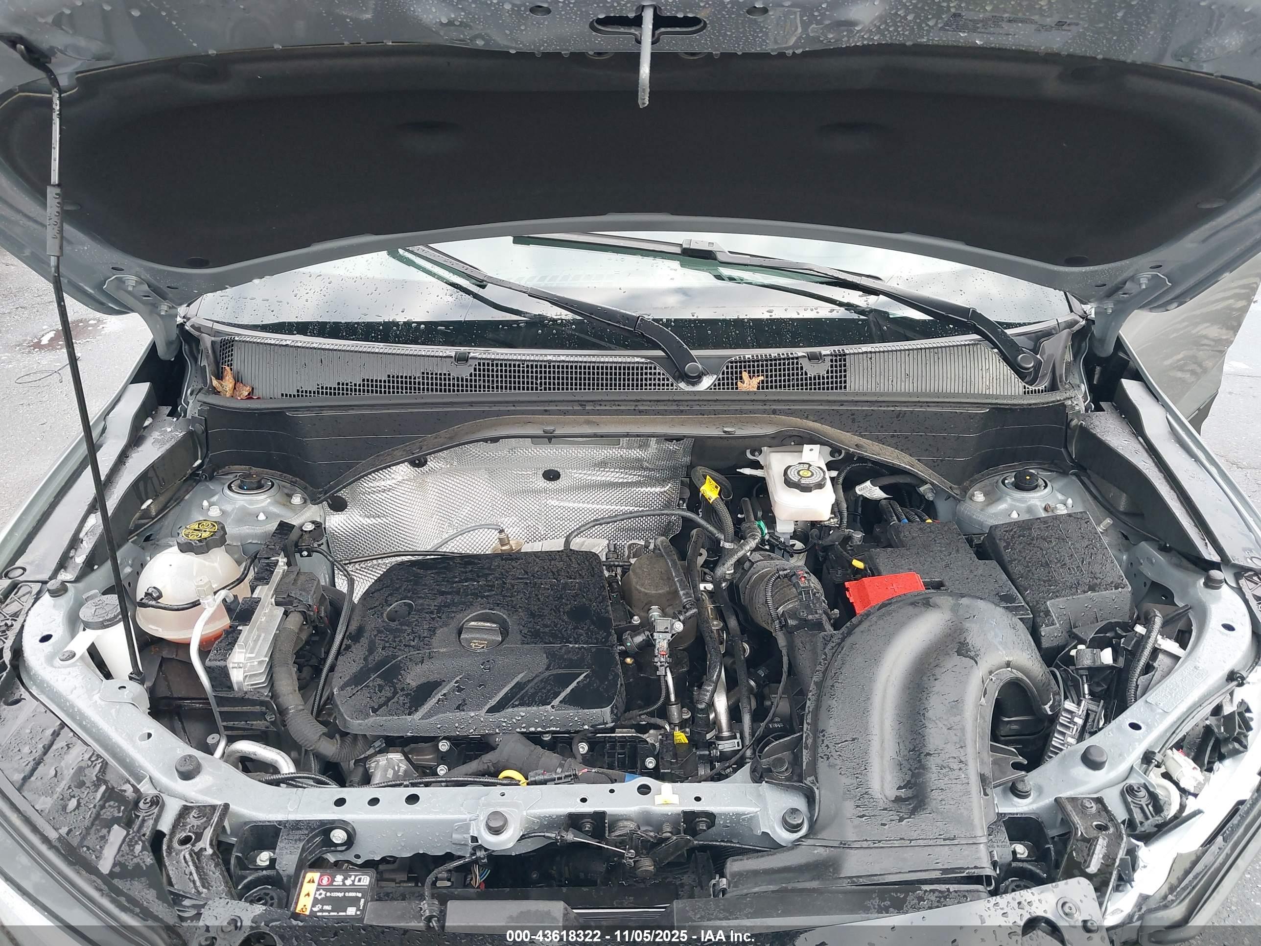CHEVROLET TRAILBLAZER image 10