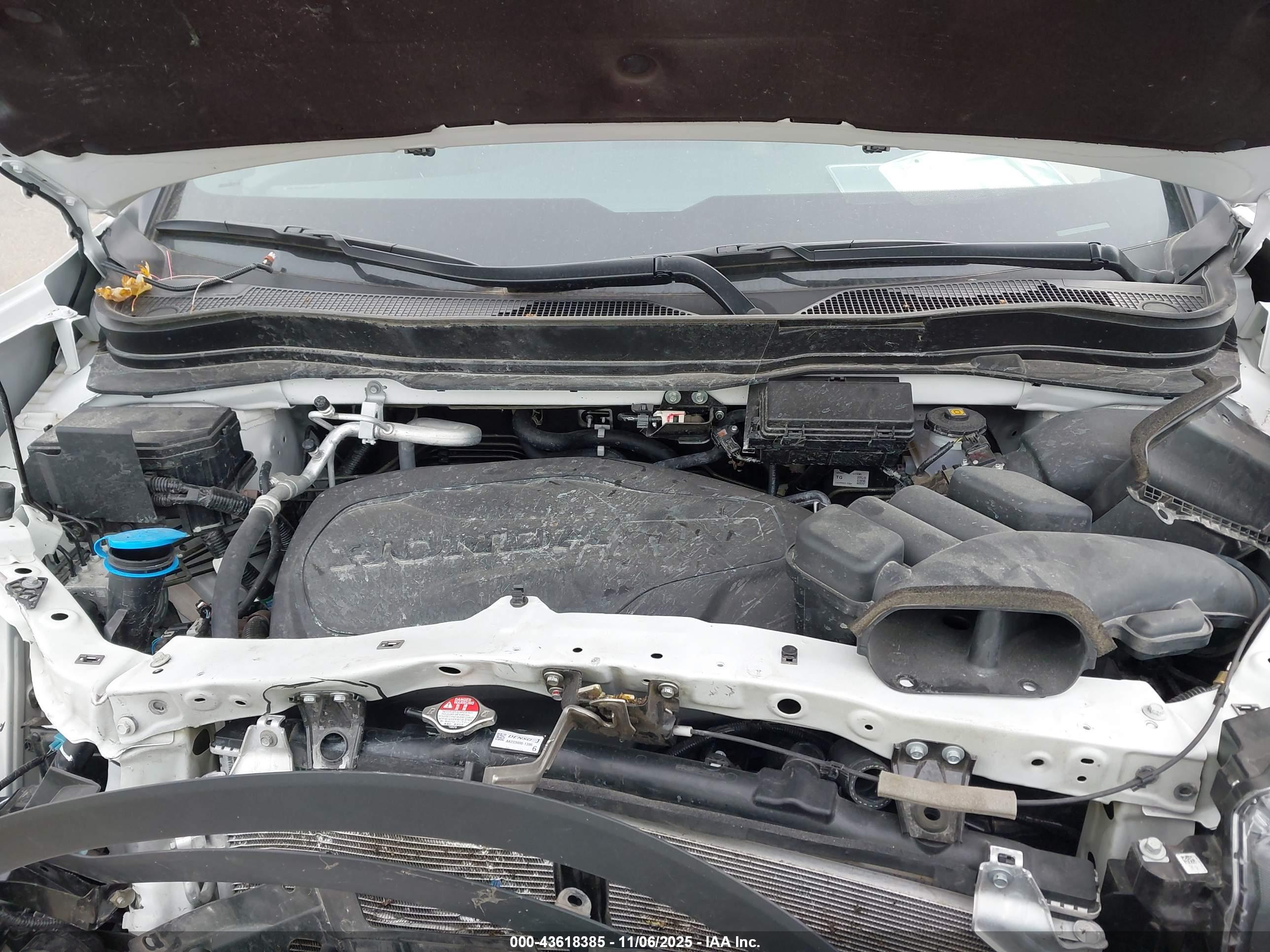 HONDA PASSPORT image 10