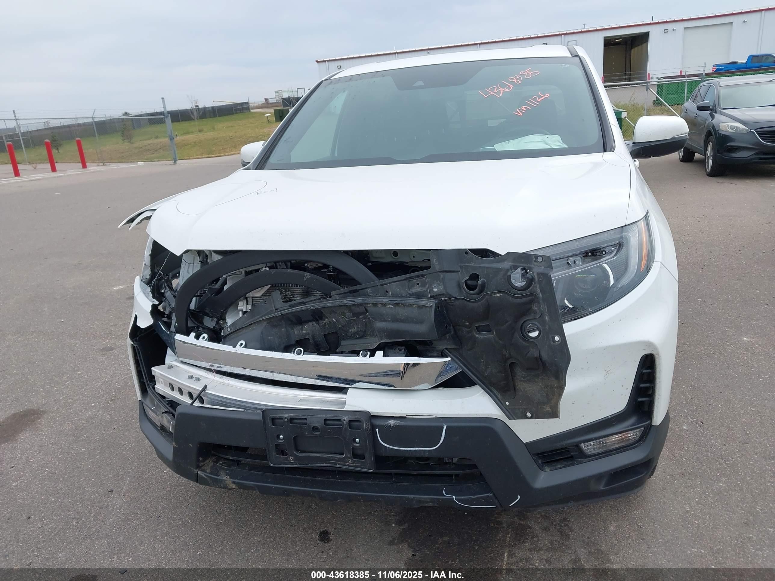 HONDA PASSPORT image 6