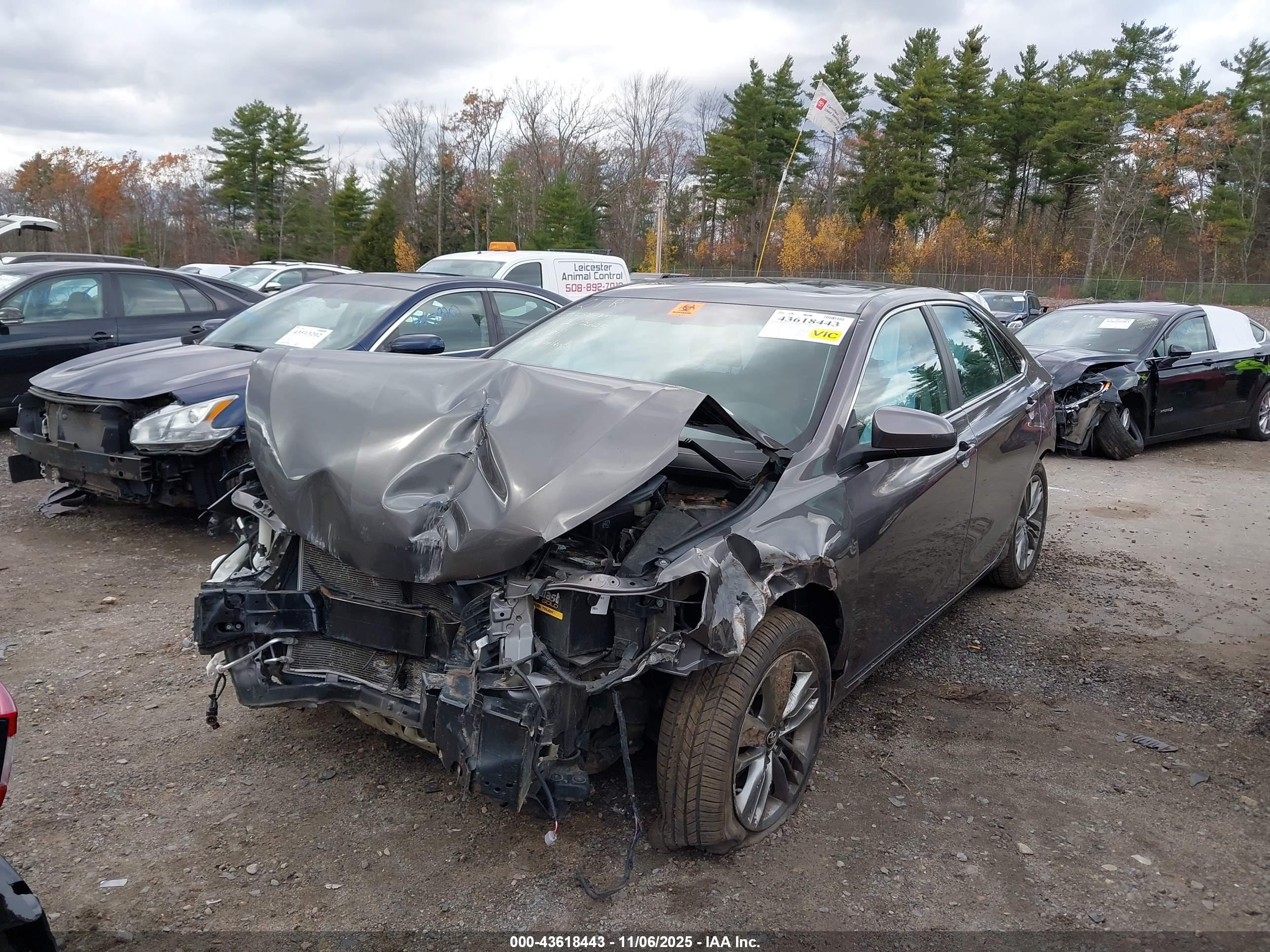 TOYOTA CAMRY image 2