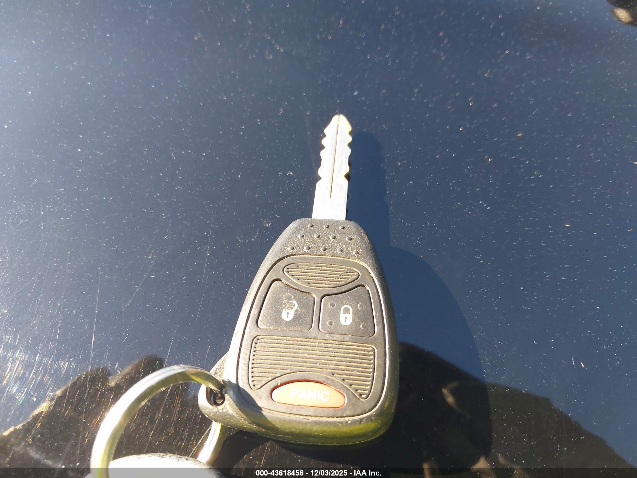 JEEP WRANGLER image 11