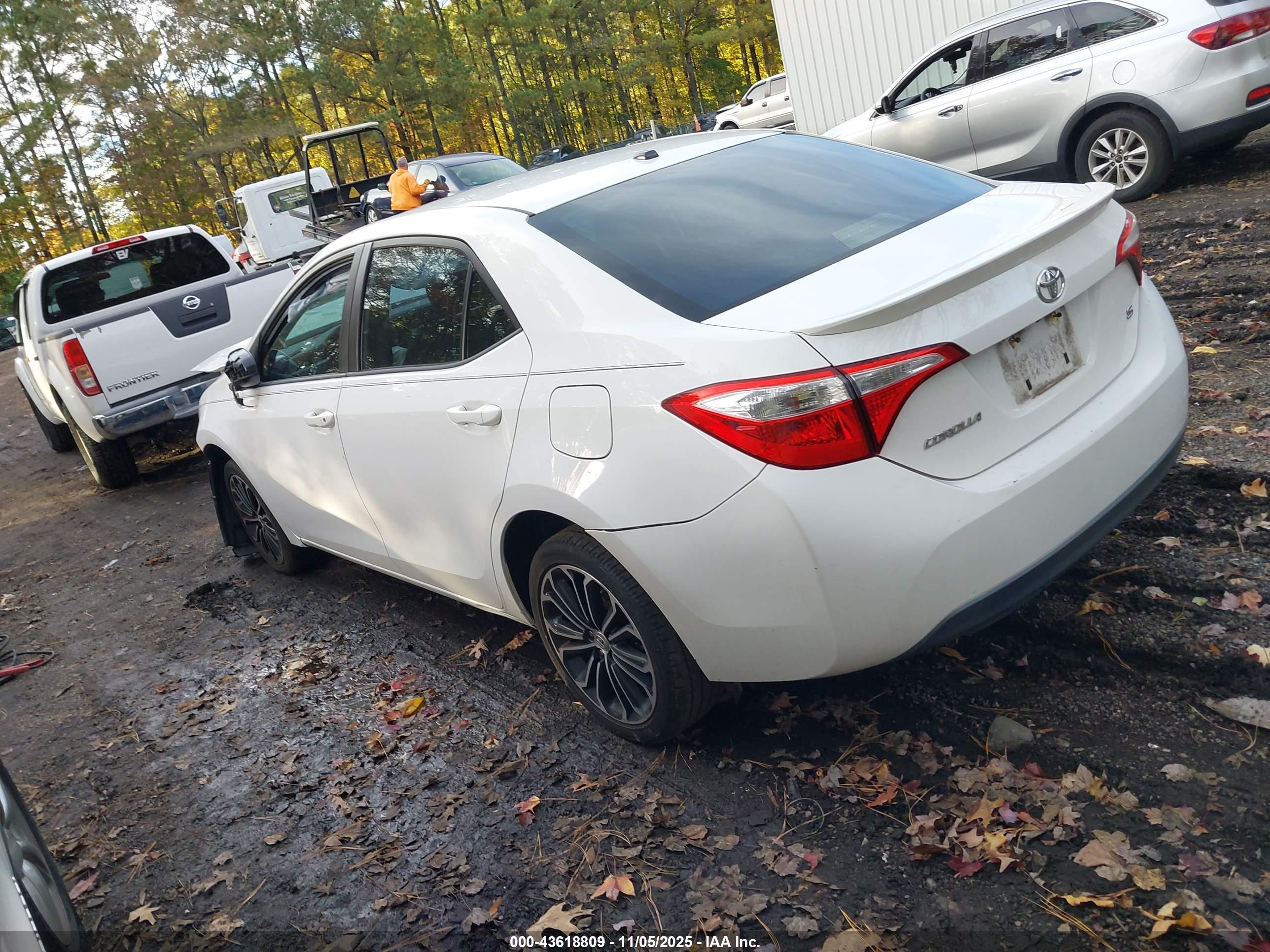 TOYOTA COROLLA image 3
