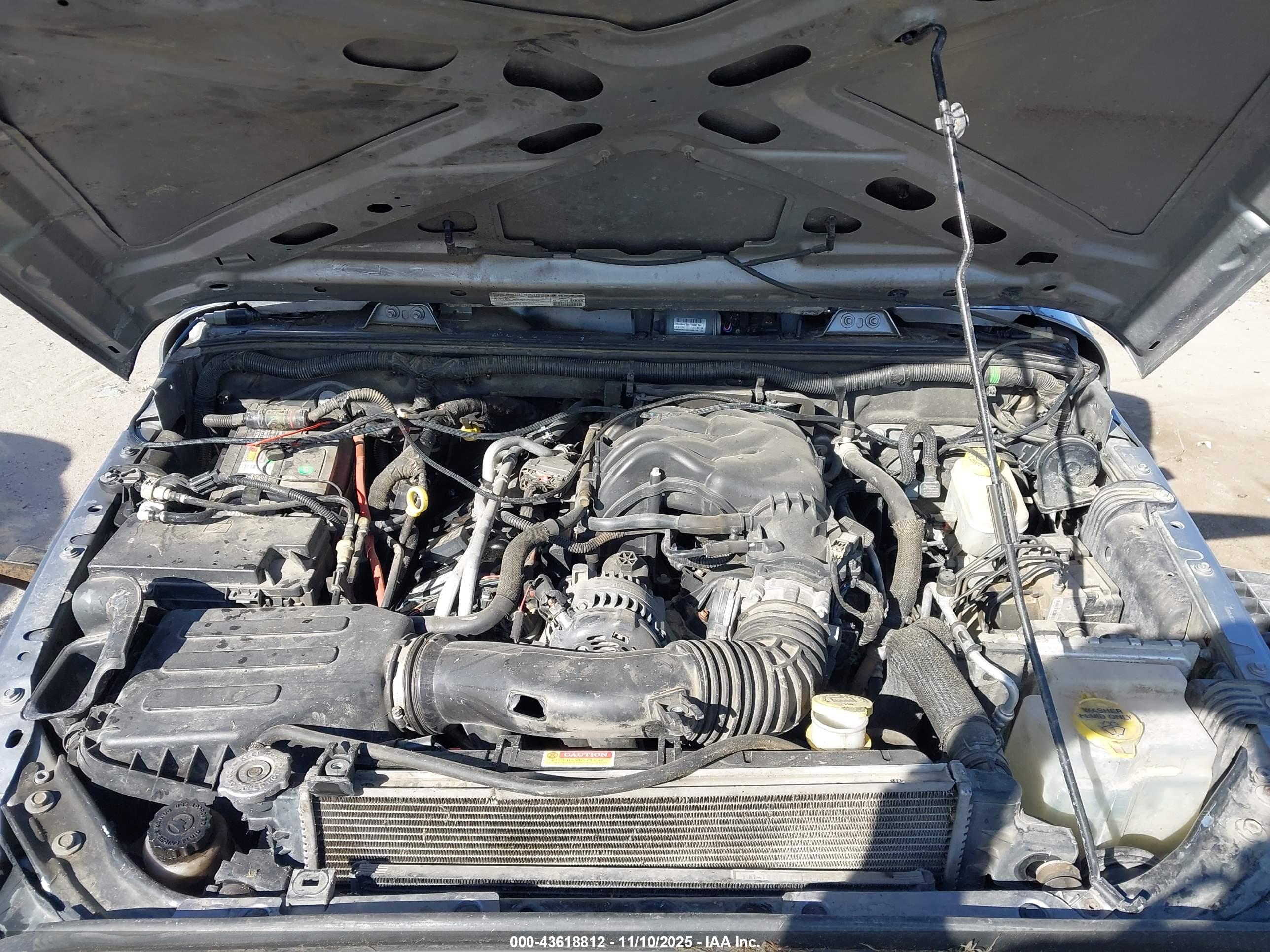 JEEP WRANGLER image 10