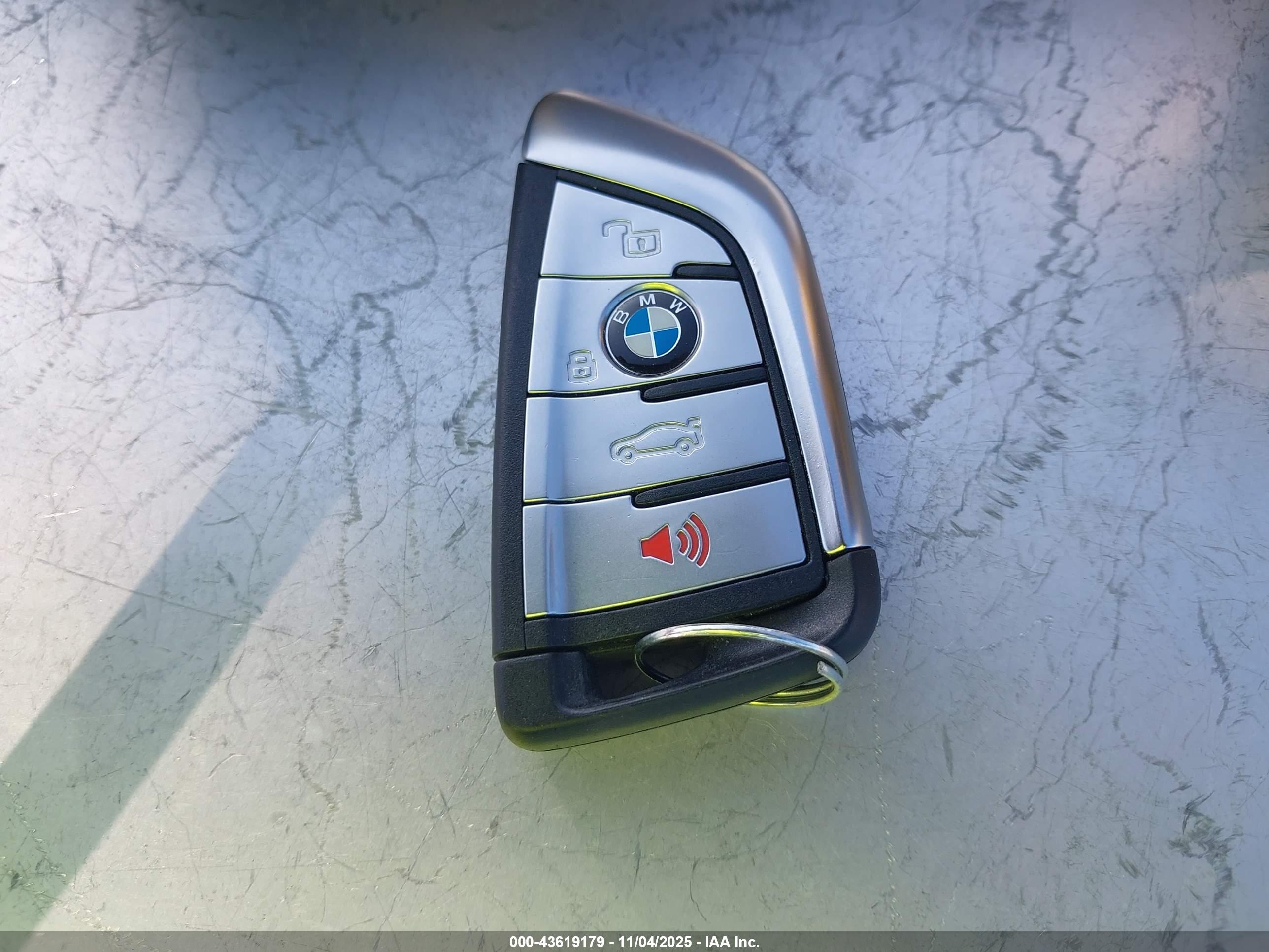 BMW X5 image 11