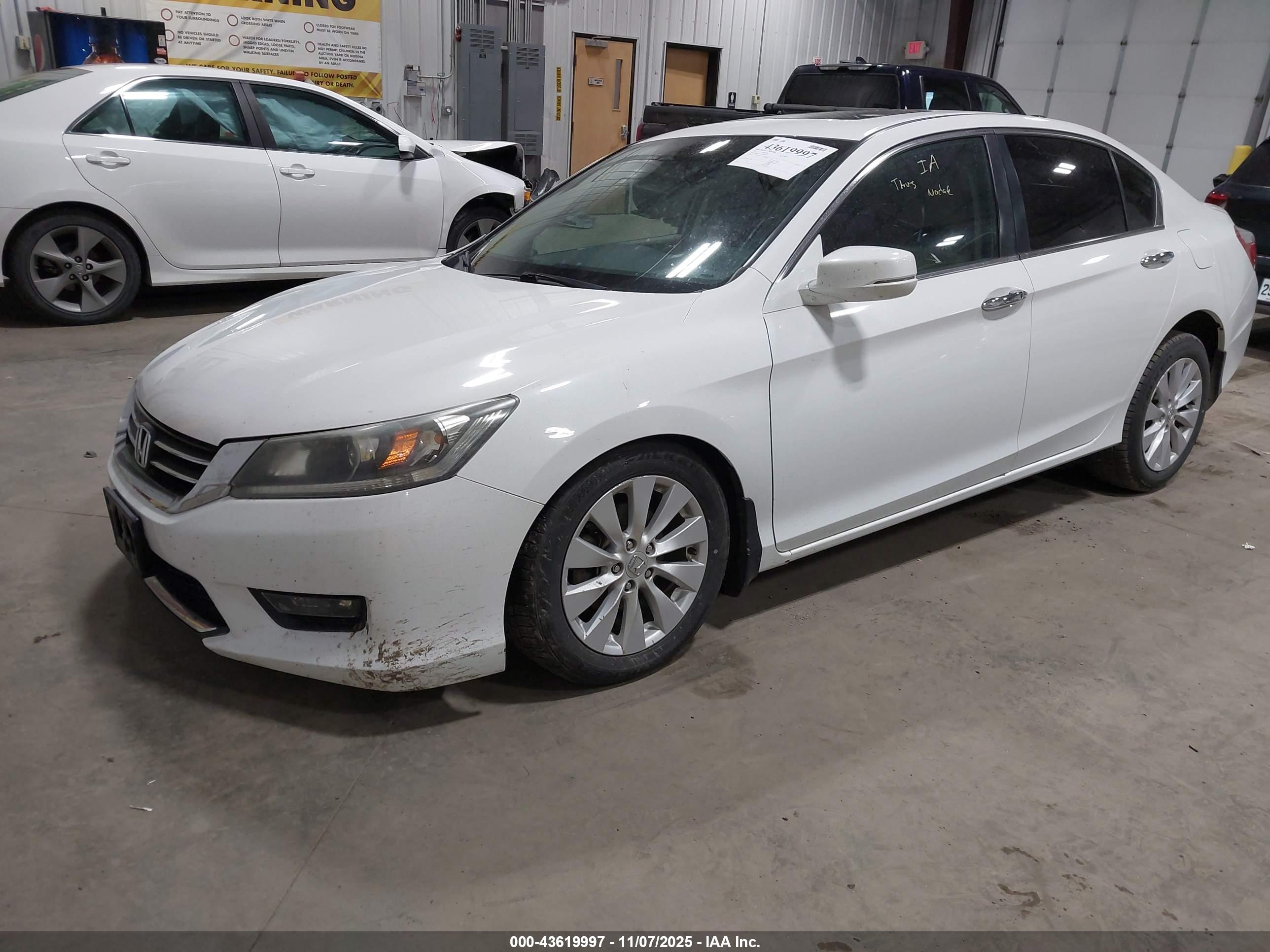 HONDA ACCORD image 2