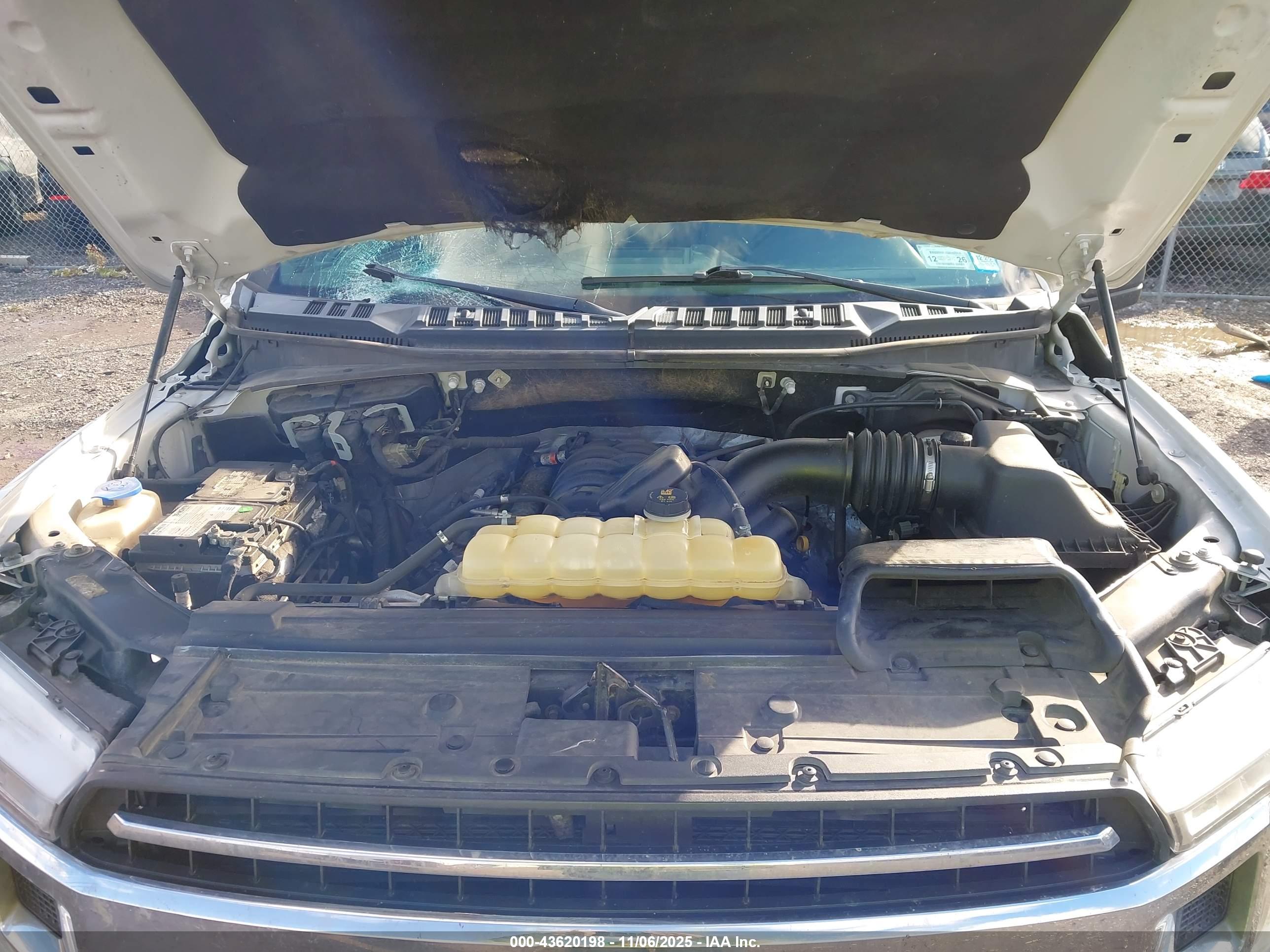 FORD F-150 image 10