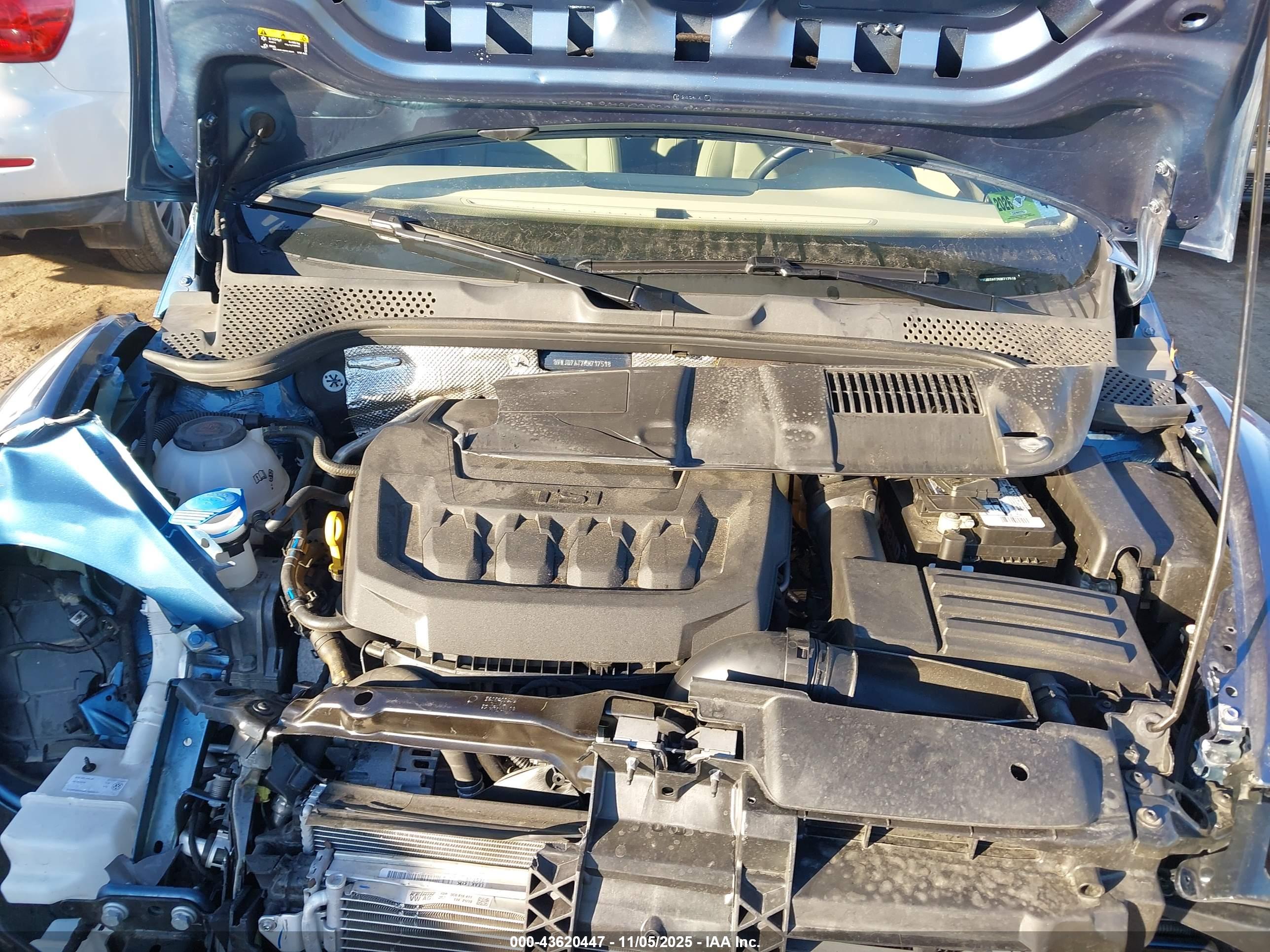 VOLKSWAGEN BEETLE image 10