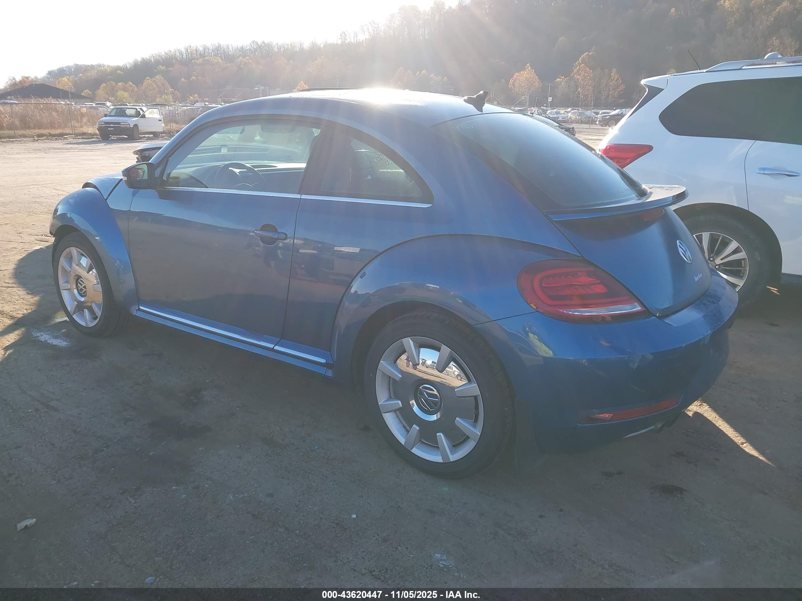 VOLKSWAGEN BEETLE image 3