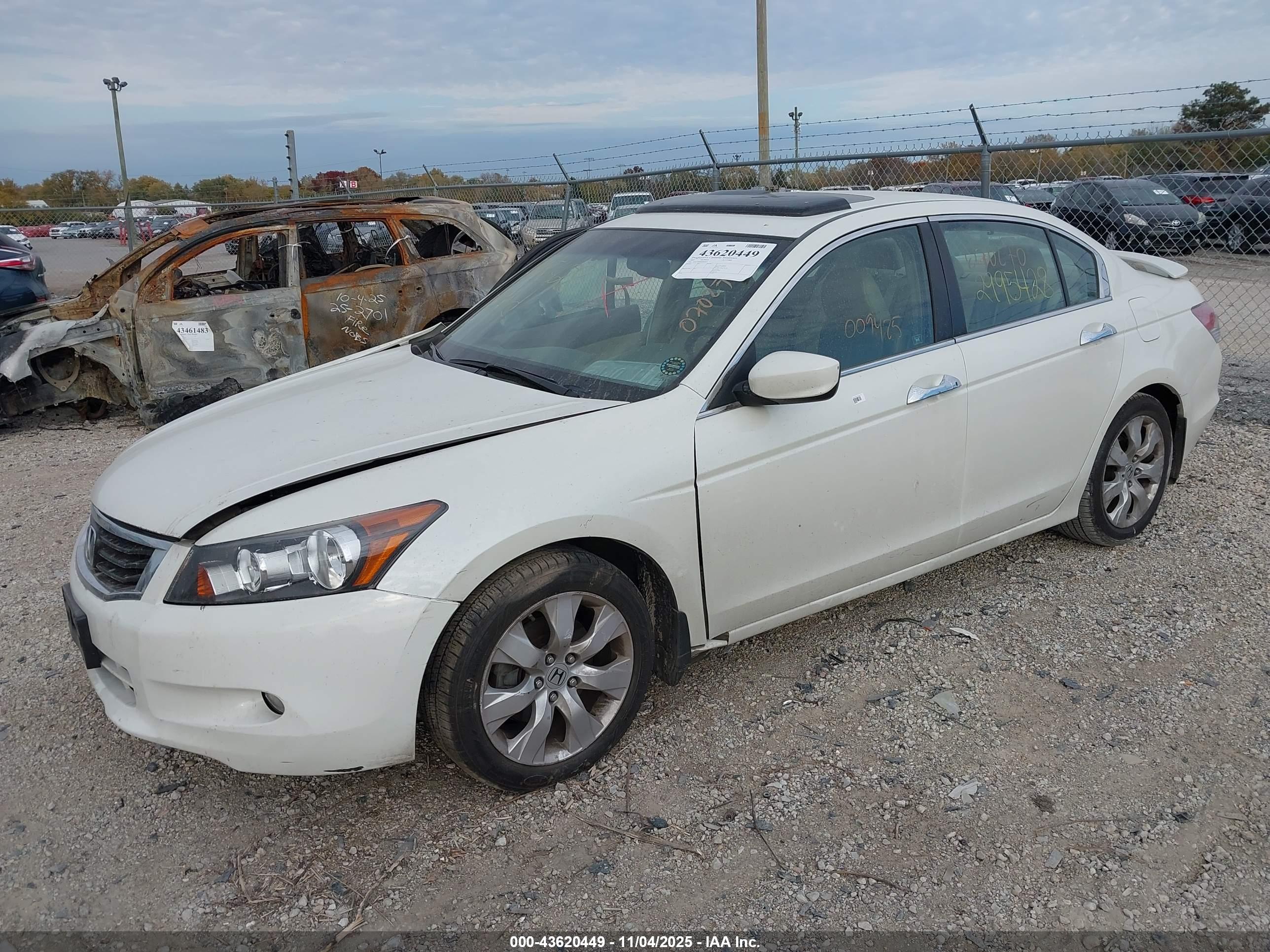 HONDA ACCORD image 2