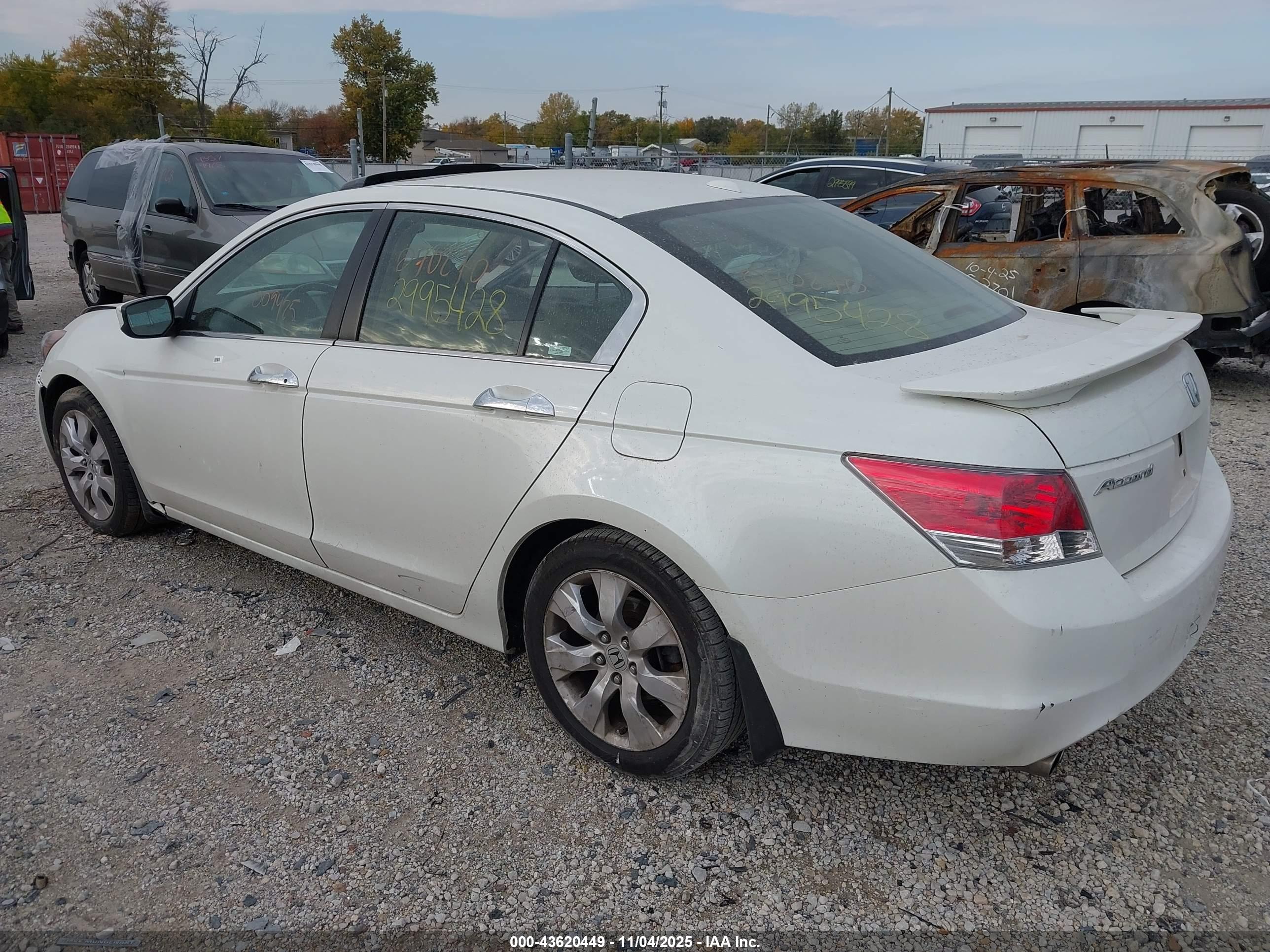 HONDA ACCORD image 3