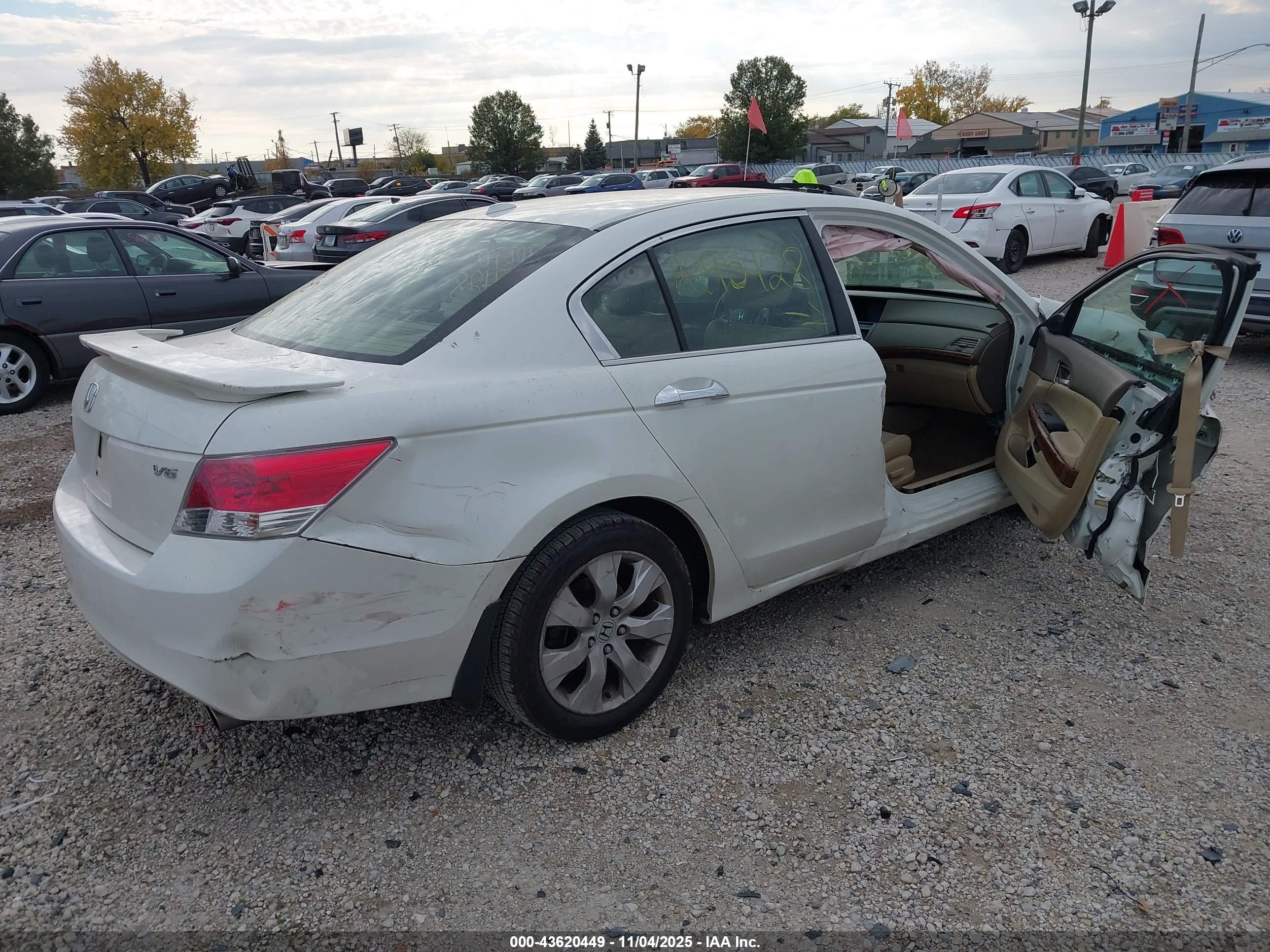 HONDA ACCORD image 4