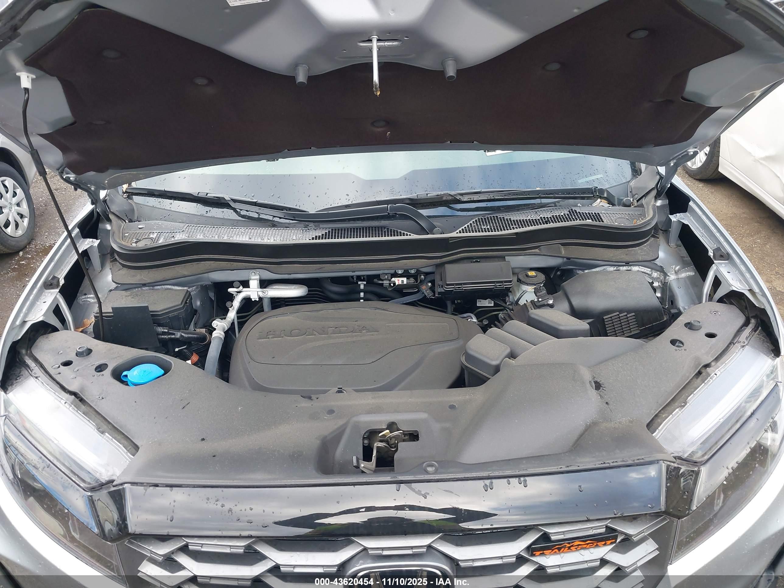 HONDA PASSPORT image 10