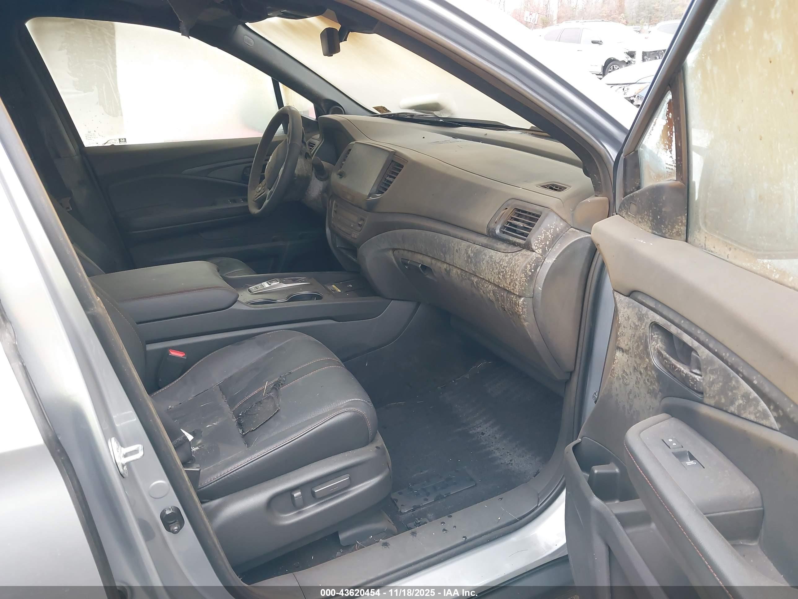 HONDA PASSPORT image 5