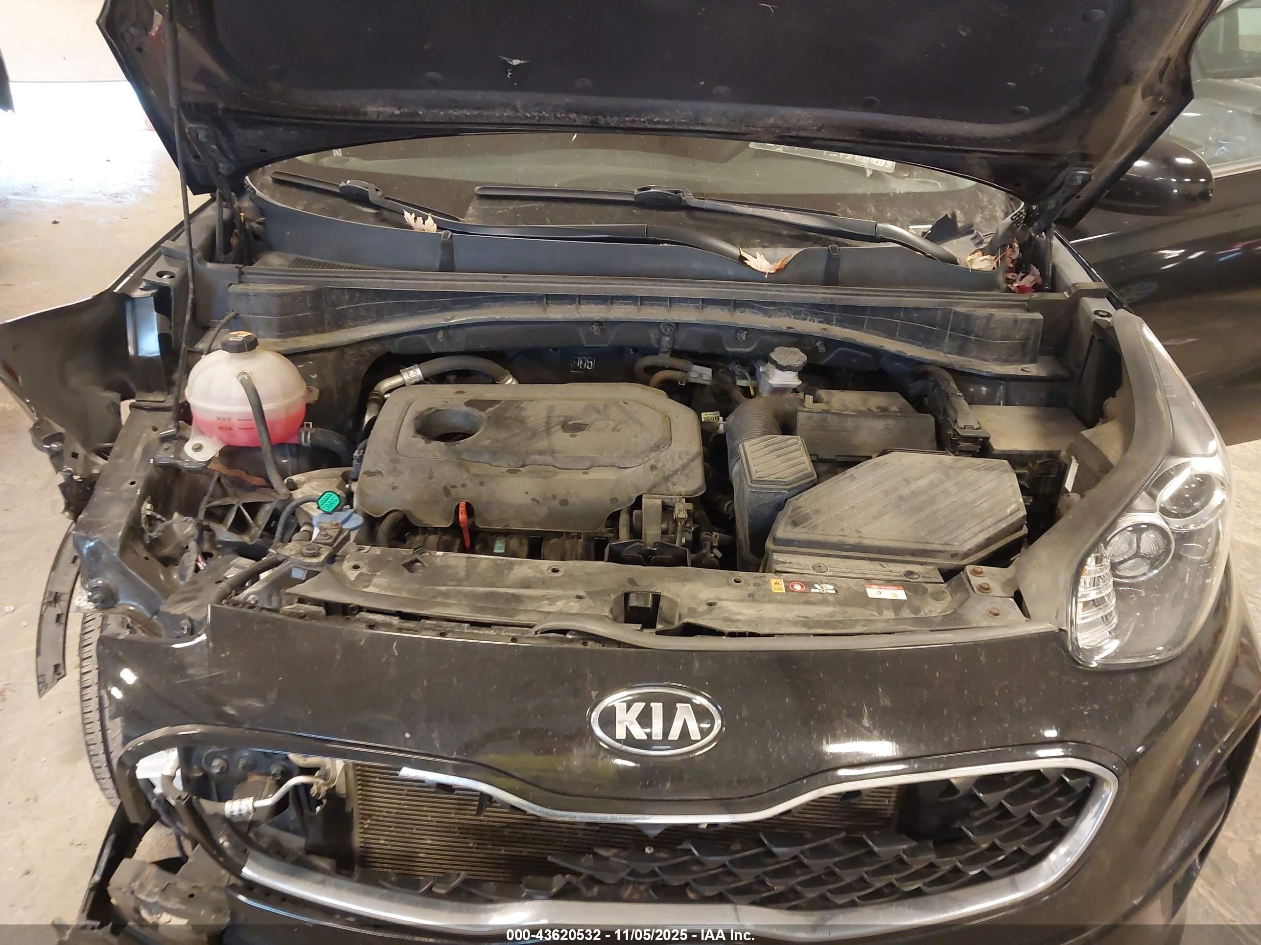 KIA SPORTAGE image 10