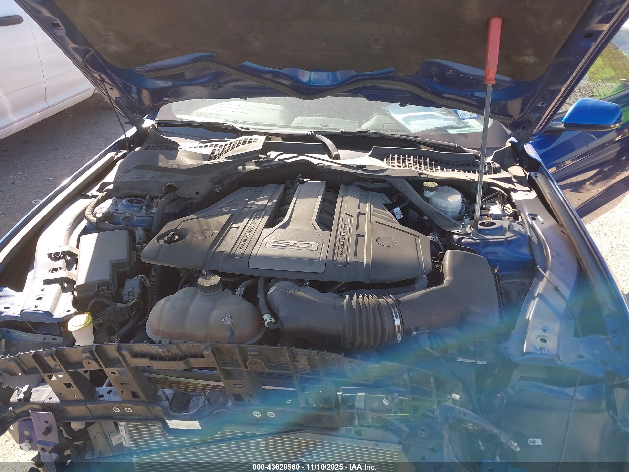 FORD MUSTANG image 10