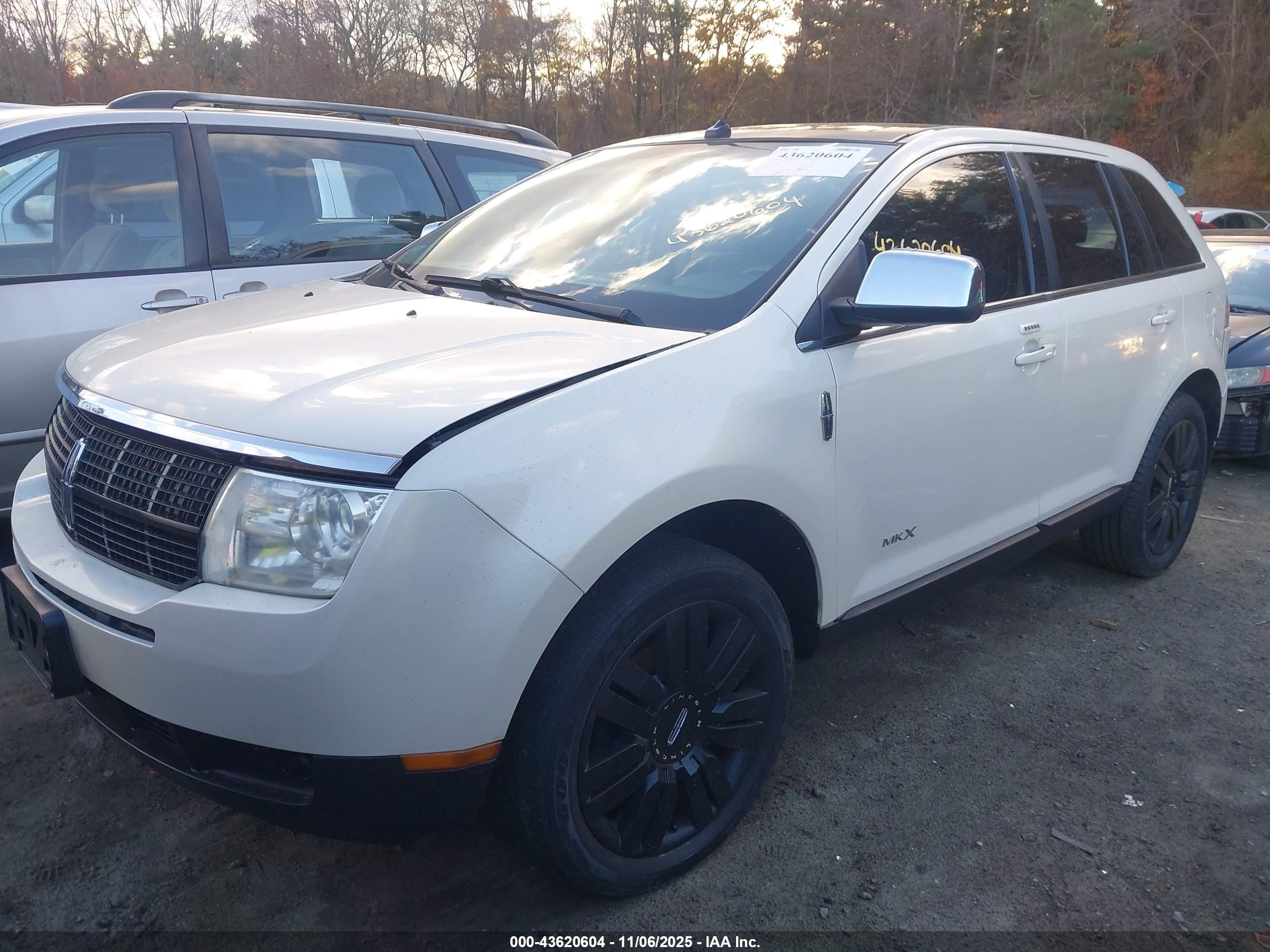 LINCOLN MKX image 2