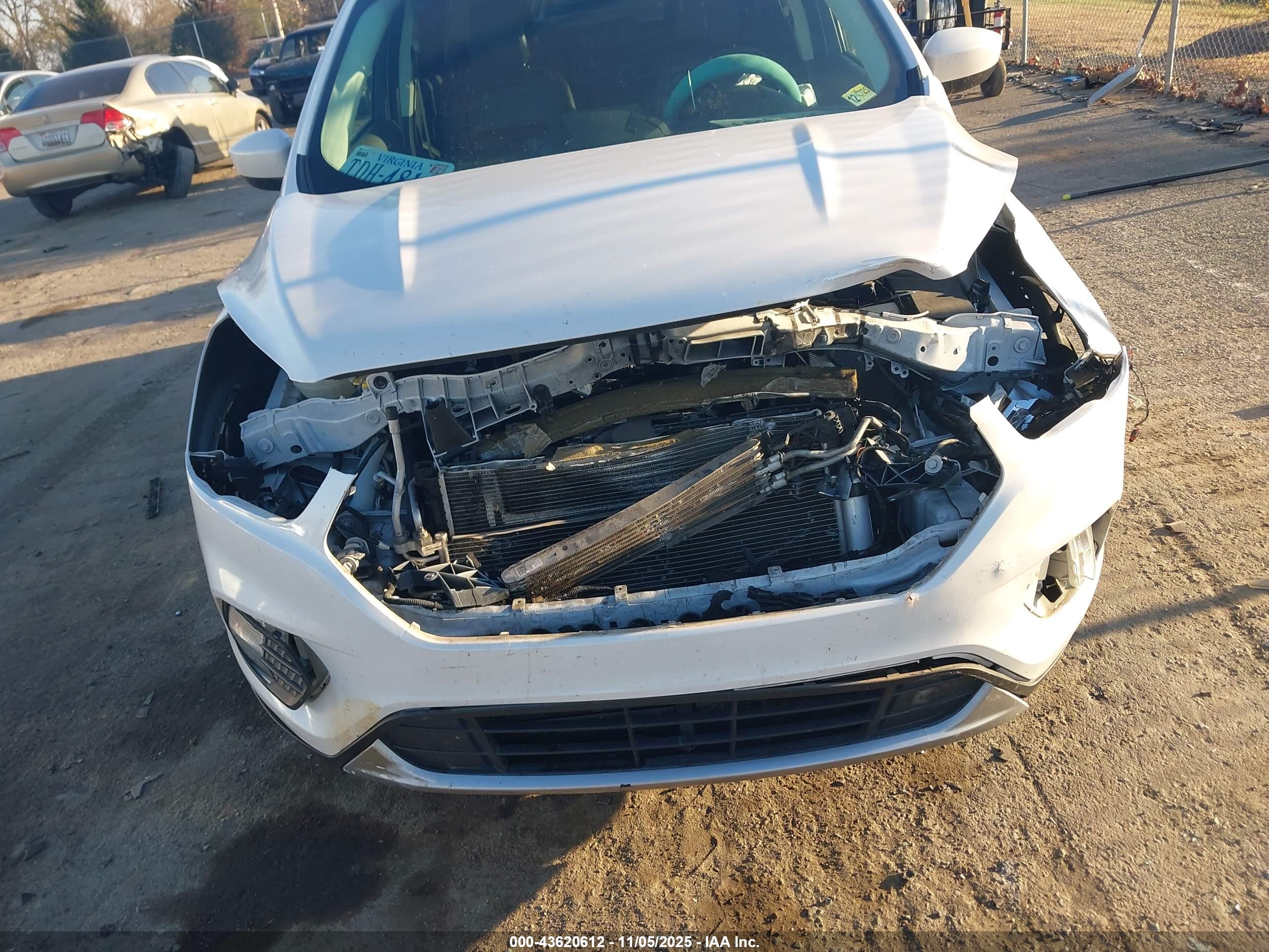 FORD ESCAPE image 6
