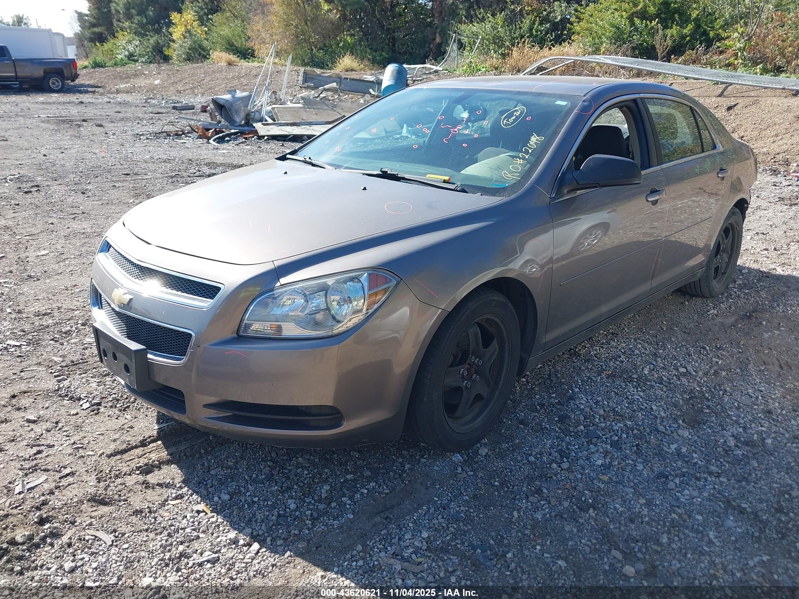 CHEVROLET MALIBU image 2