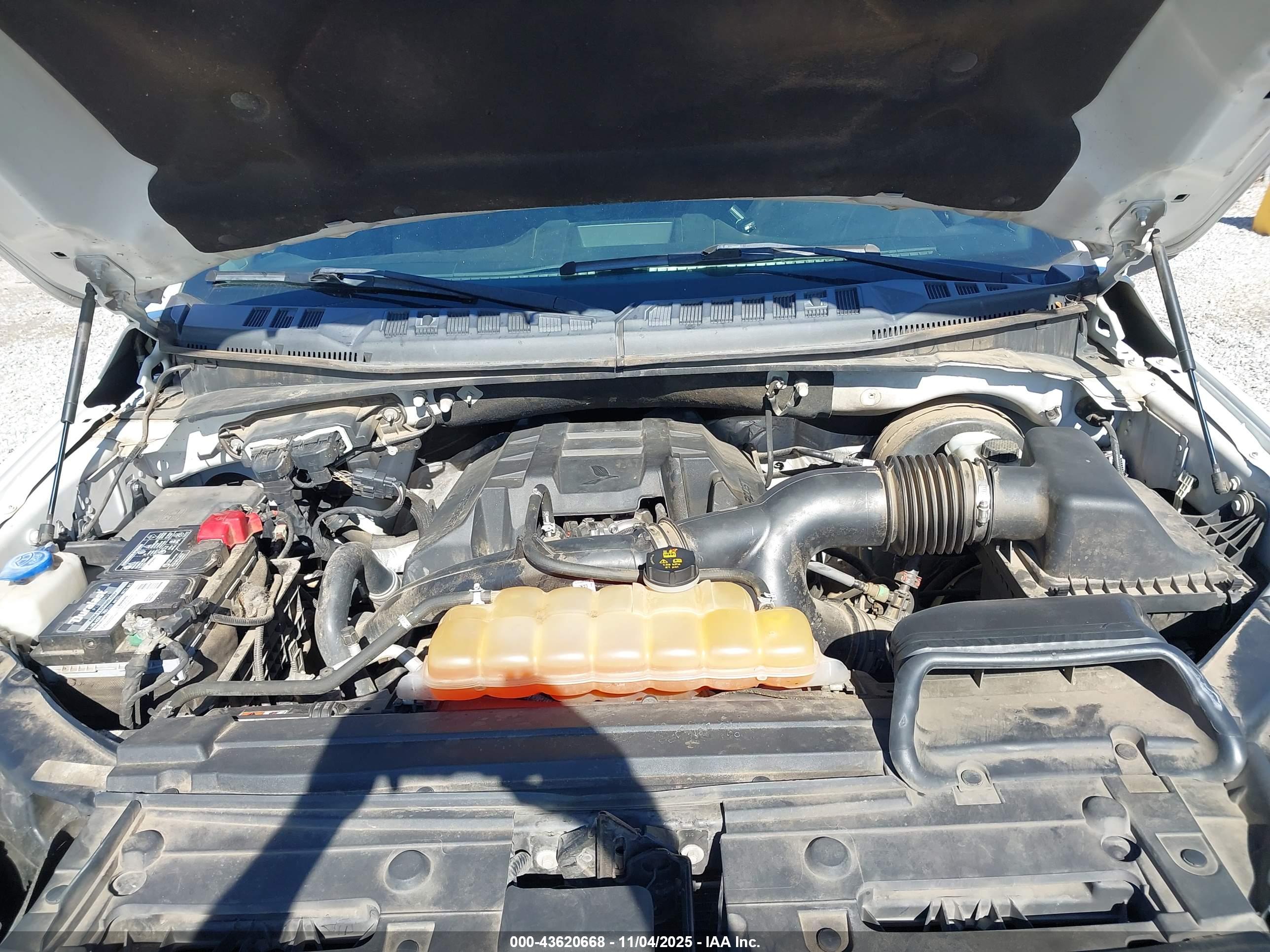 FORD F-150 image 10