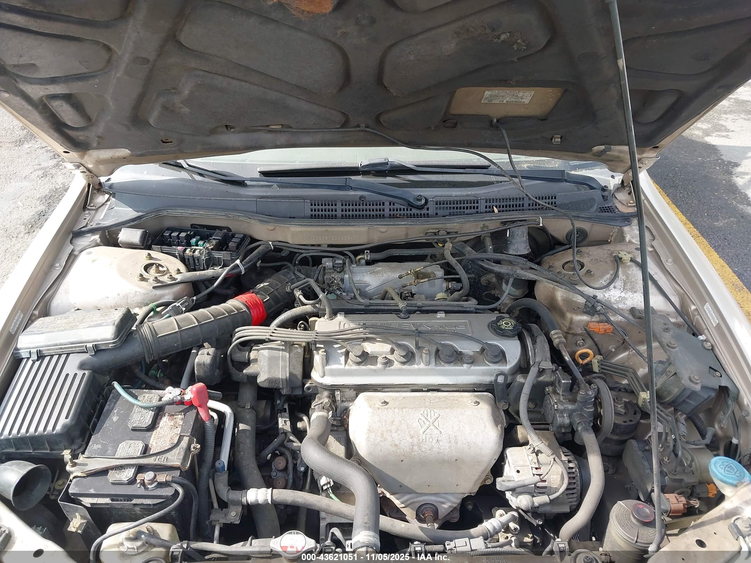 HONDA ACCORD image 10
