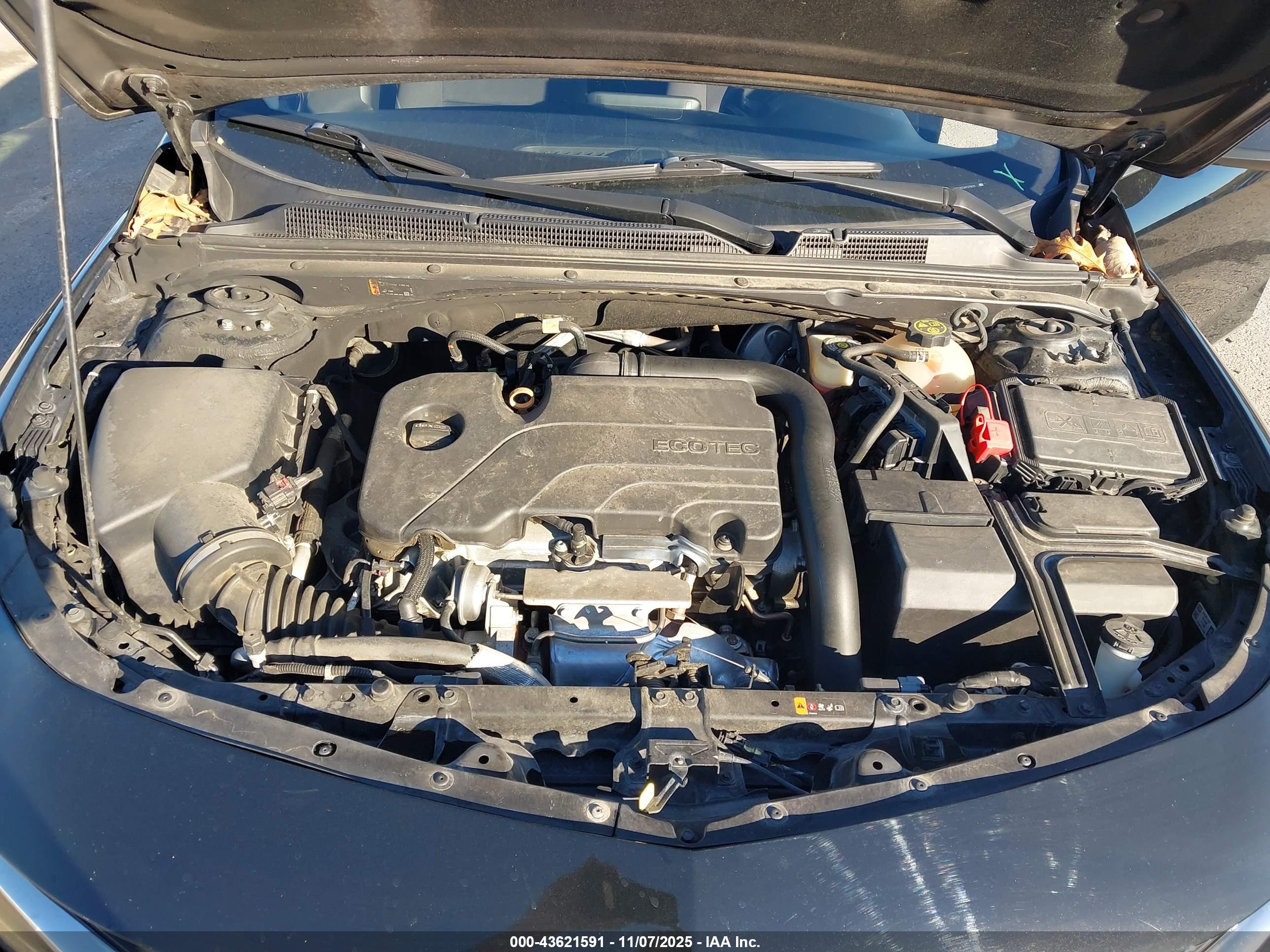 CHEVROLET MALIBU image 10