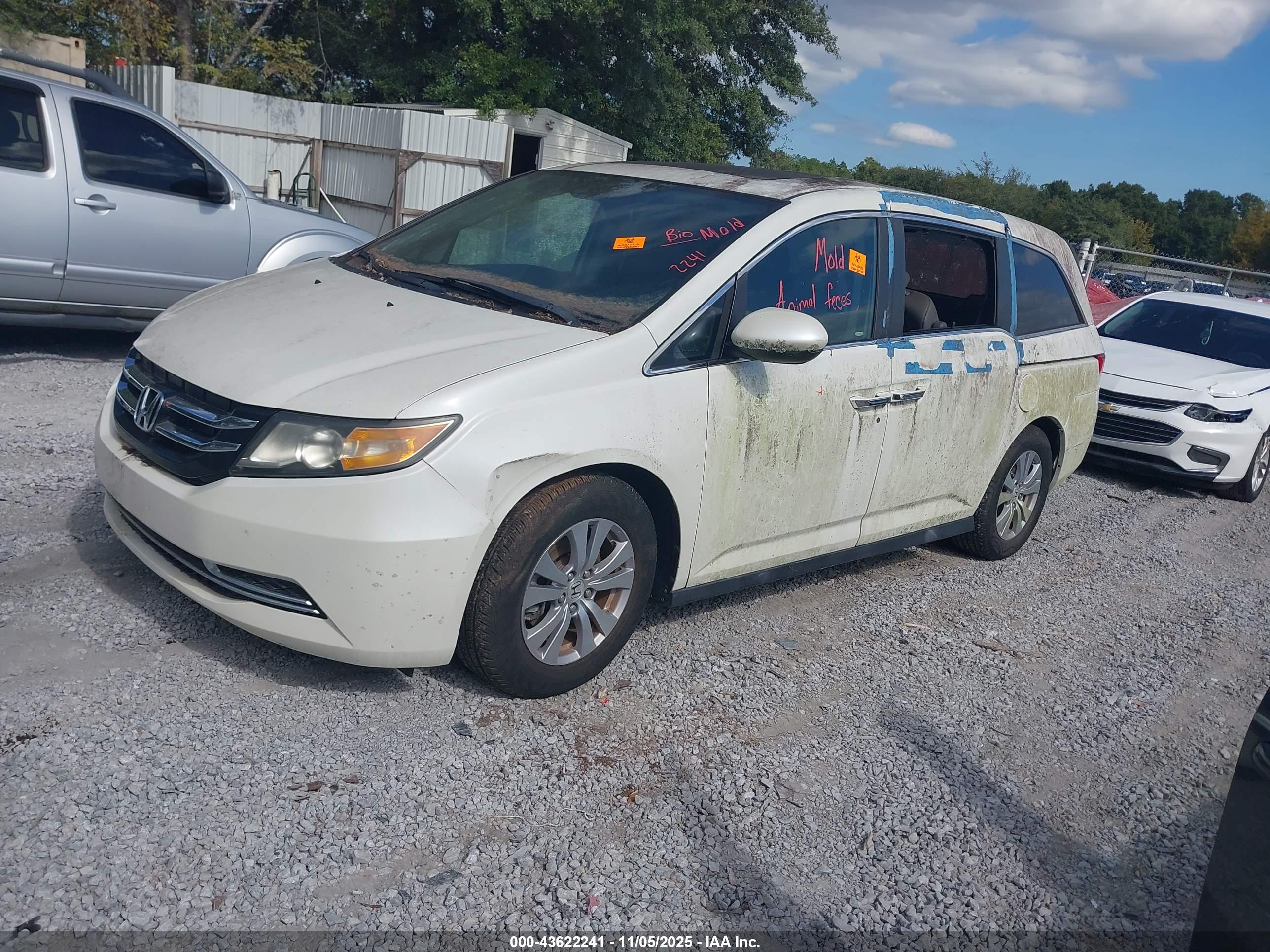 HONDA ODYSSEY image 2